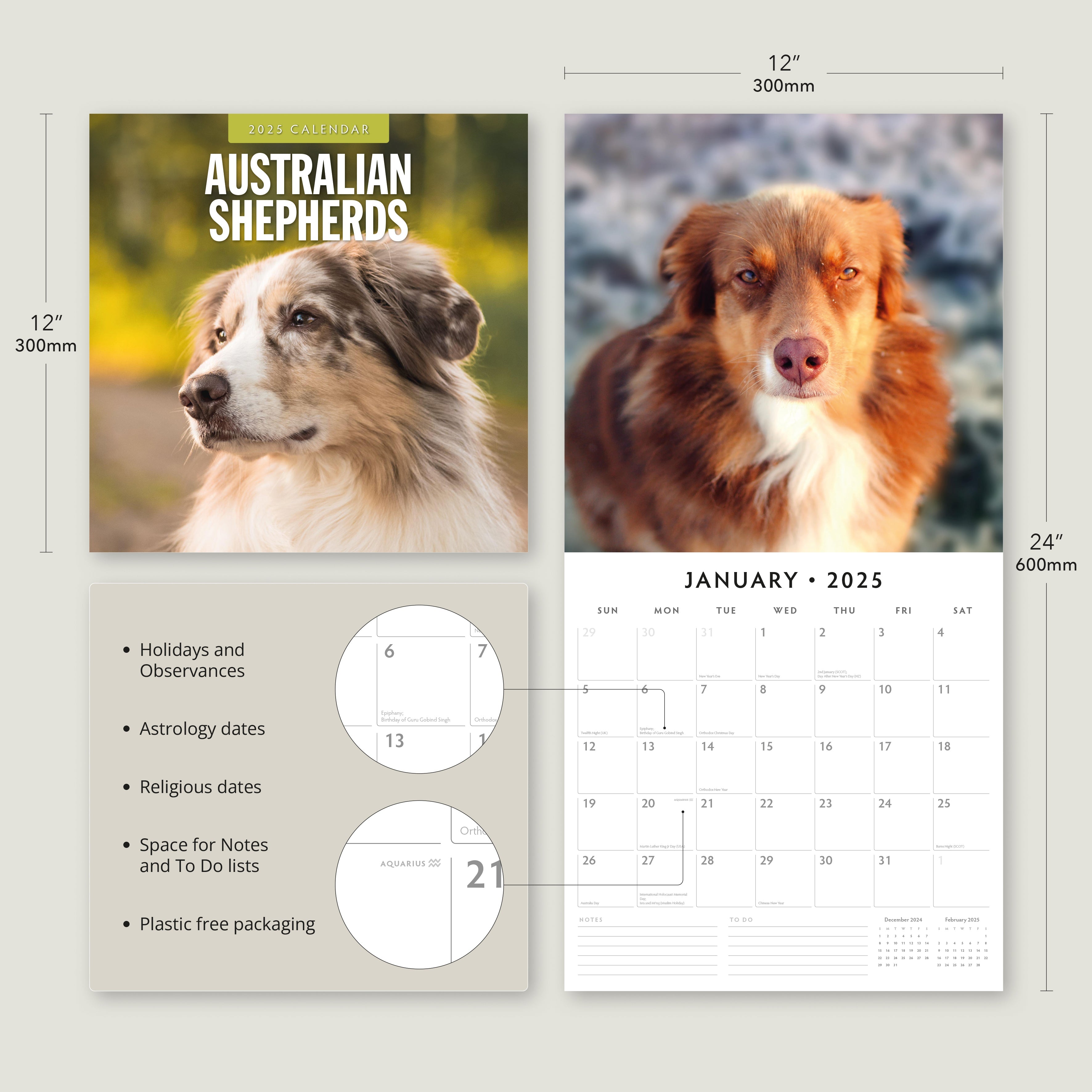 2025 Australian Shepherds - Square Wall Calendar