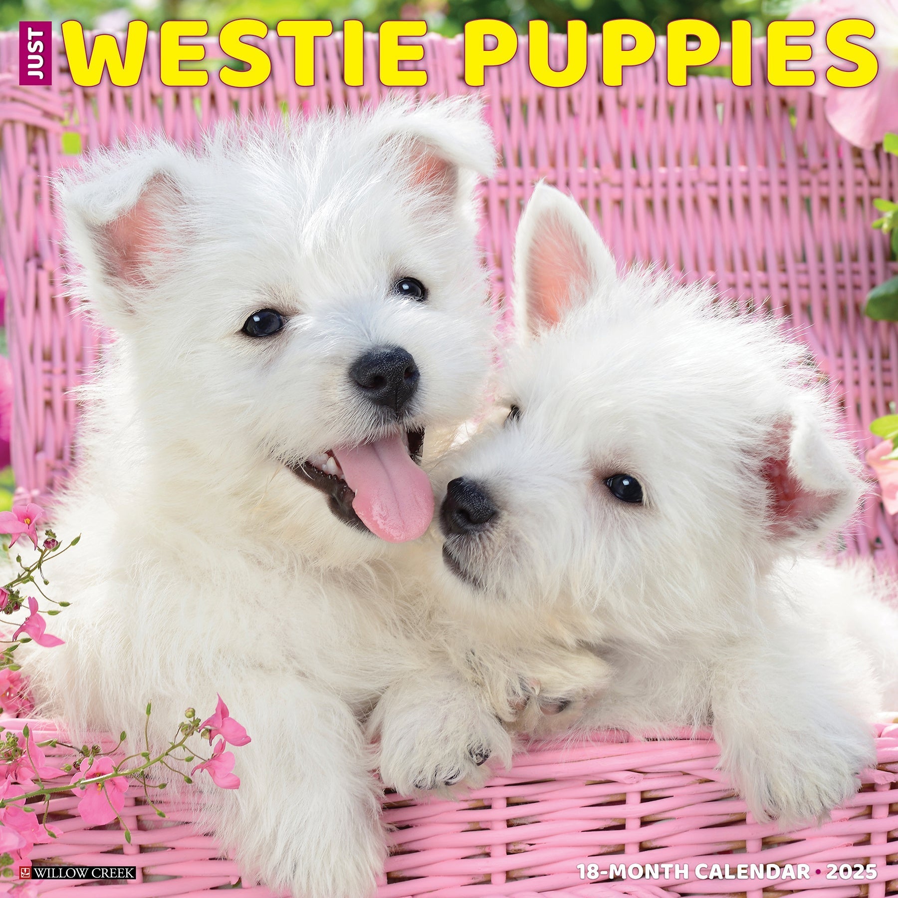 2025 Westie Puppies - Square Wall Calendar (US Only)