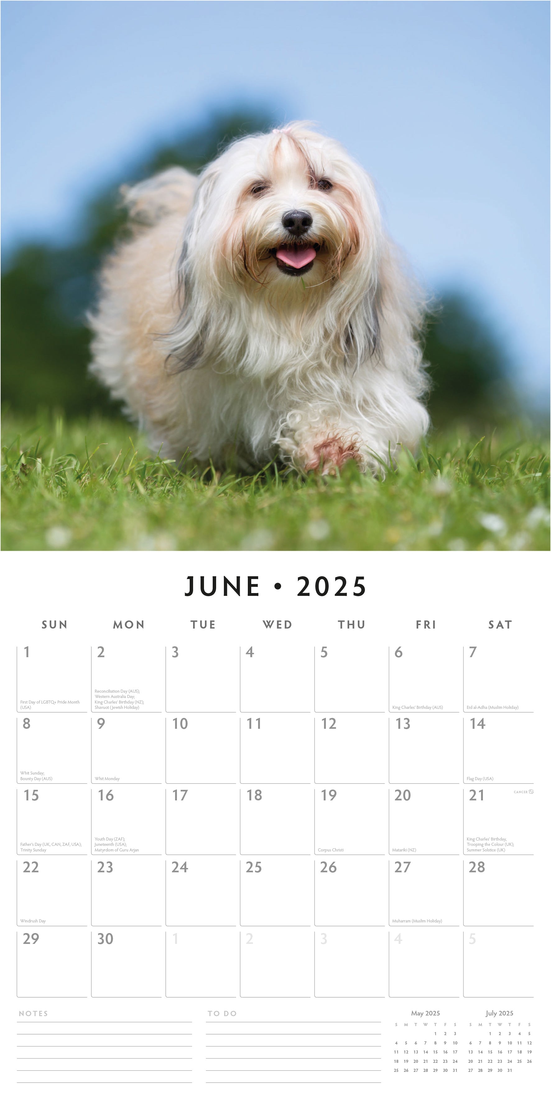 2025 Tibetan Terriers - Square Wall Calendar