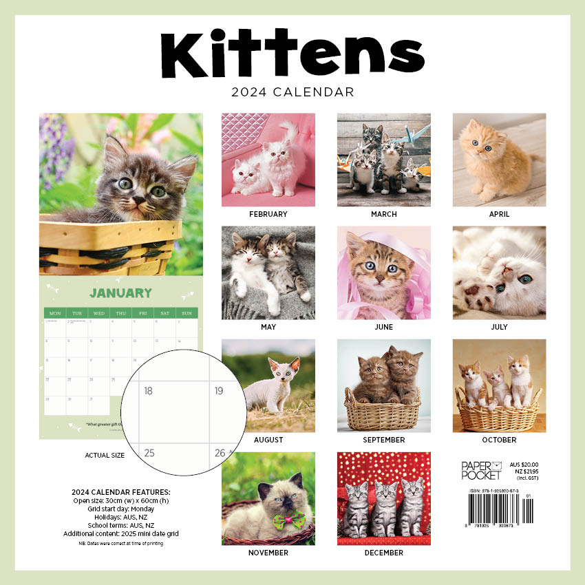 2024 Kittens (by Paper Pocket) - Square Wall Calendar