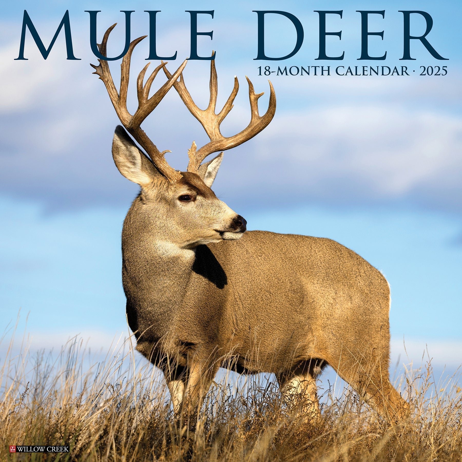 2025 Mule Deer - Square Wall Calendar (US Only)