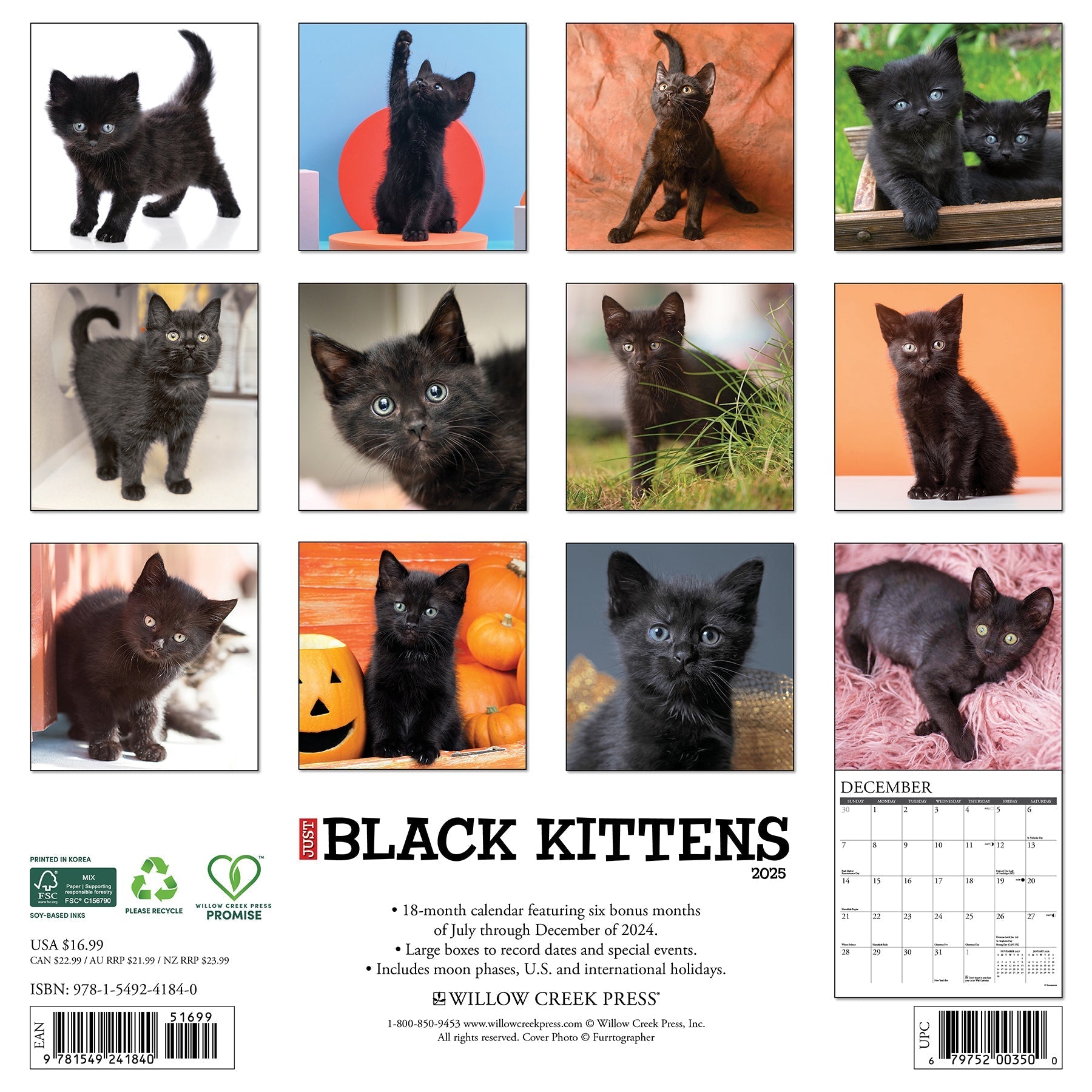 2025 Black Kittens - Square Wall Calendar (US Only)