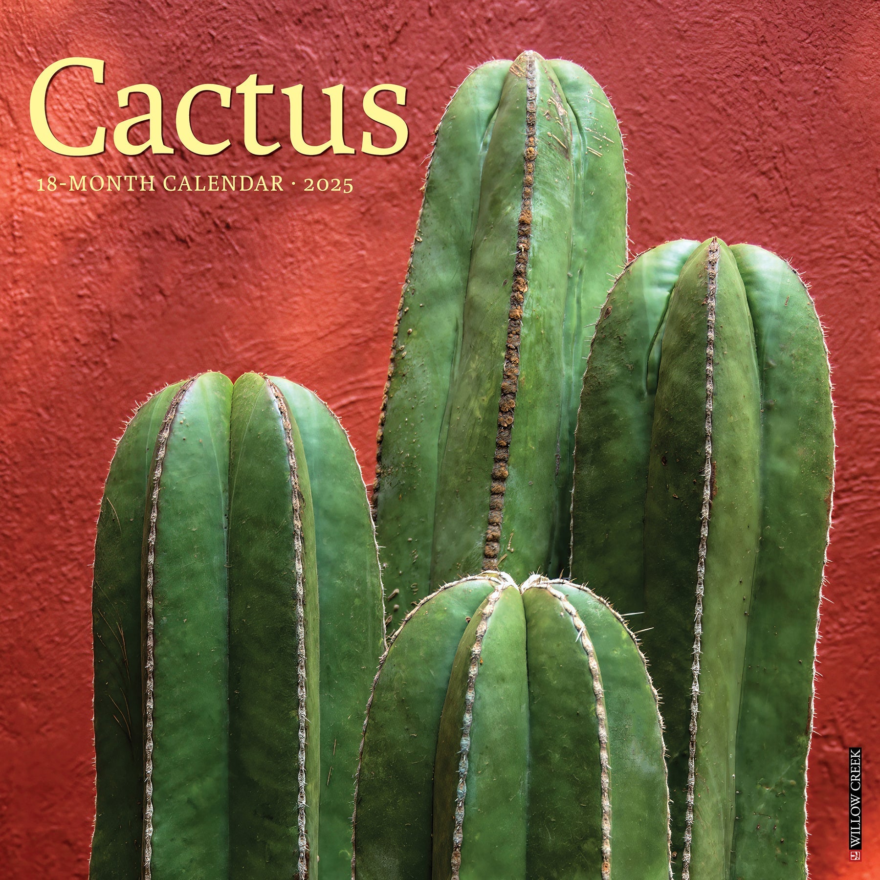 2025 Cactus - Square Wall Calendar (US Only)