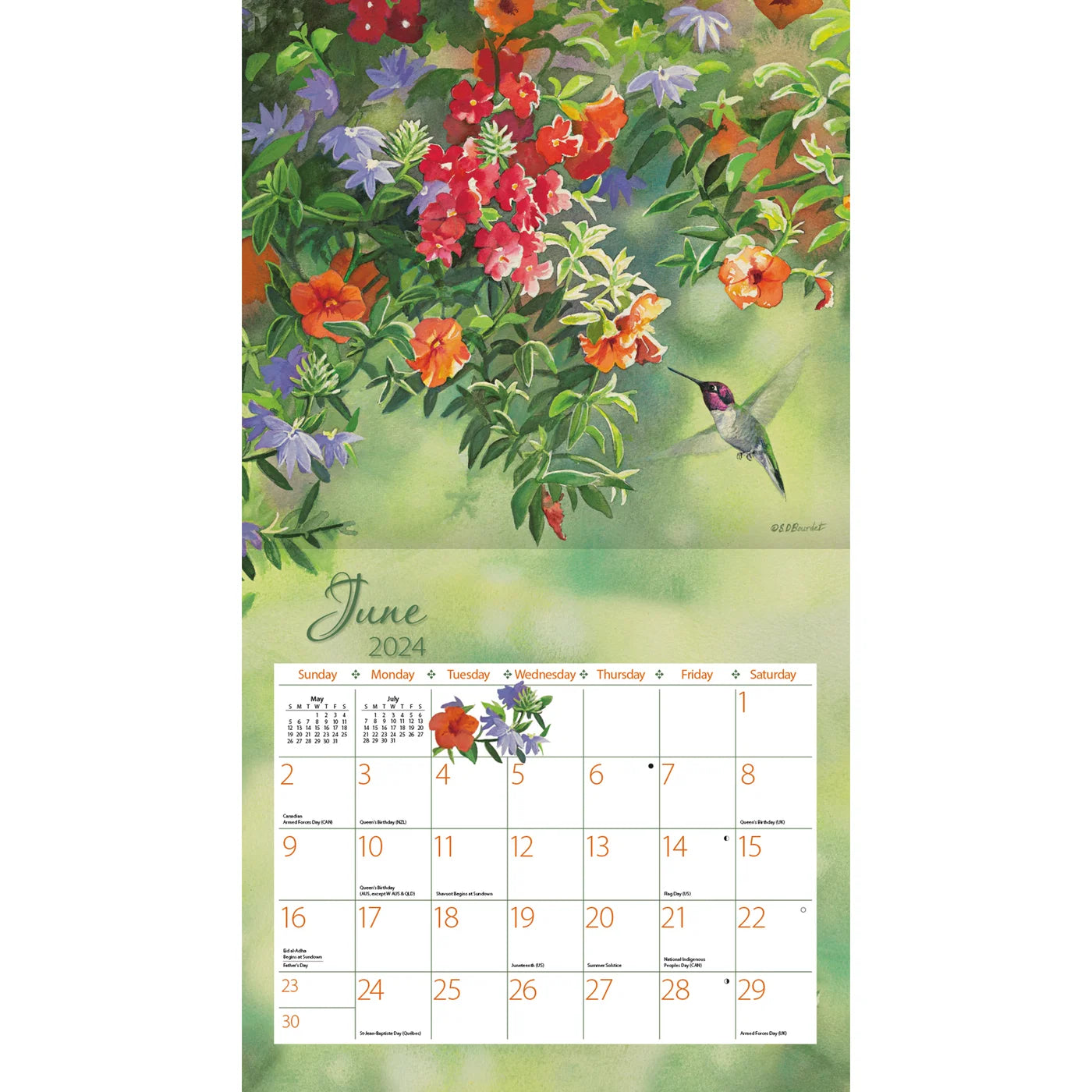 2024 LANG Hummingbirds By Susan Bourdet - Deluxe Wall Calendar