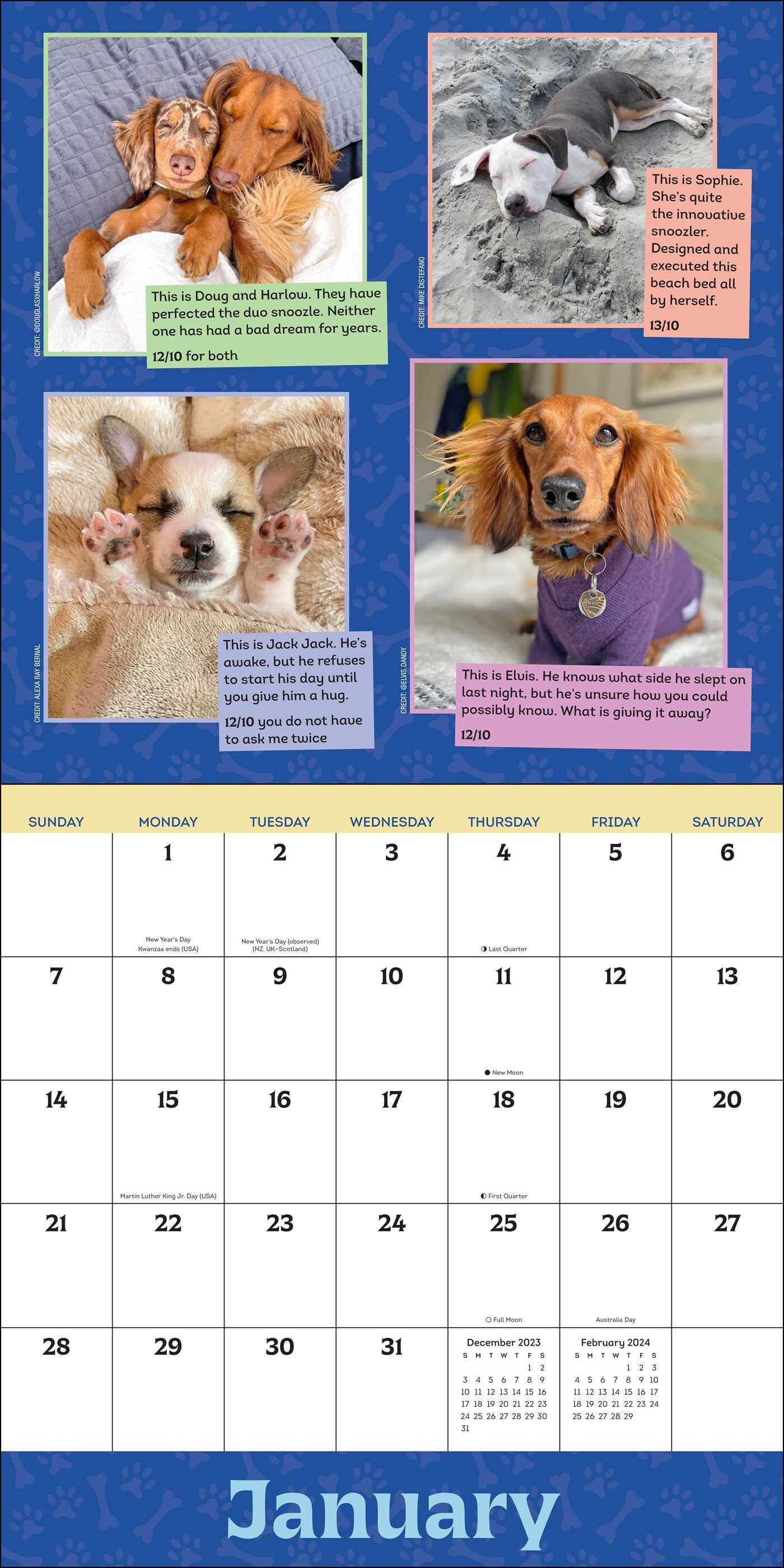 2024 We Rate Dogs Square Wall Calendar   6e986e352515dfb544f636a88e725c31 