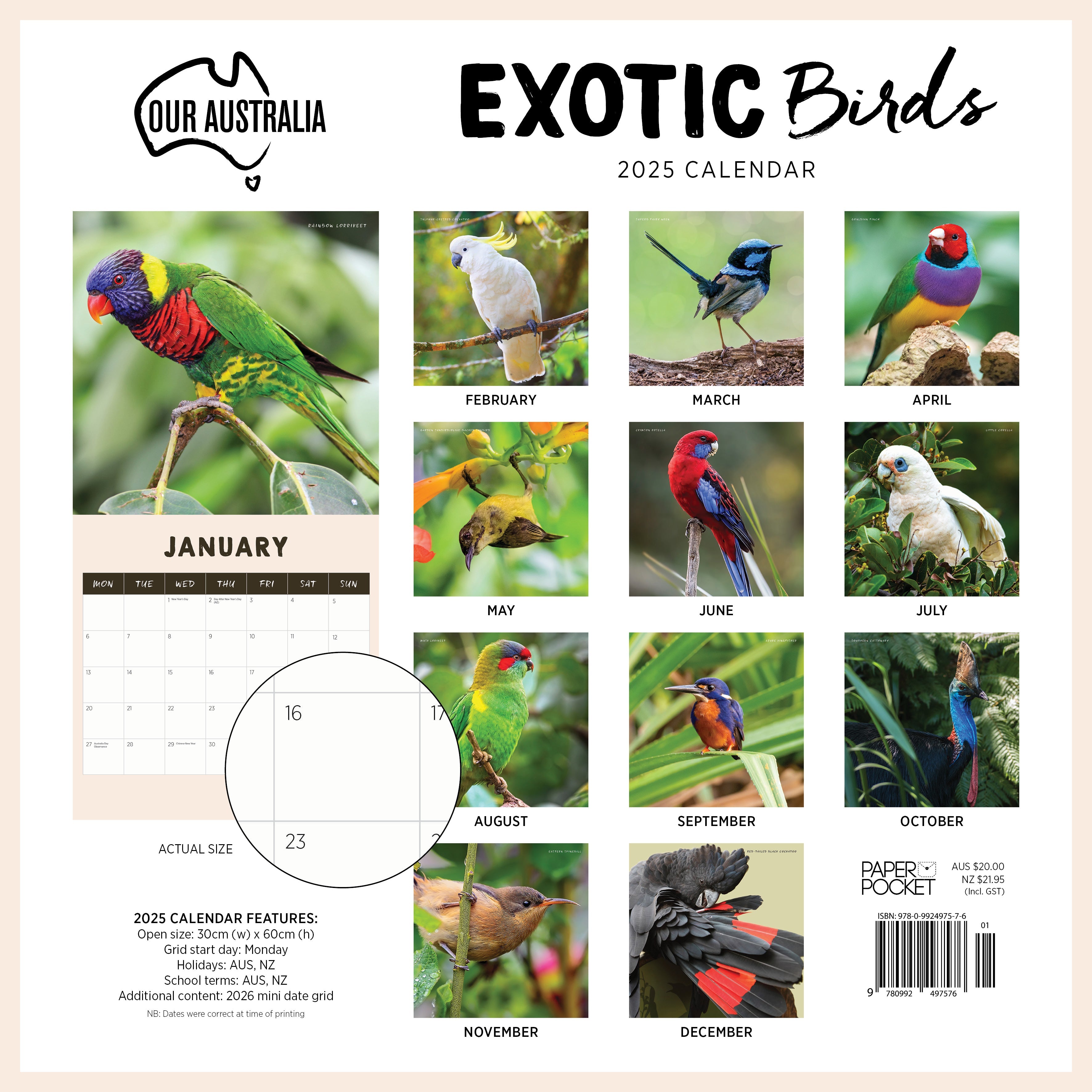 2025 Our Australia Exotic Birds - Square Wall Calendar