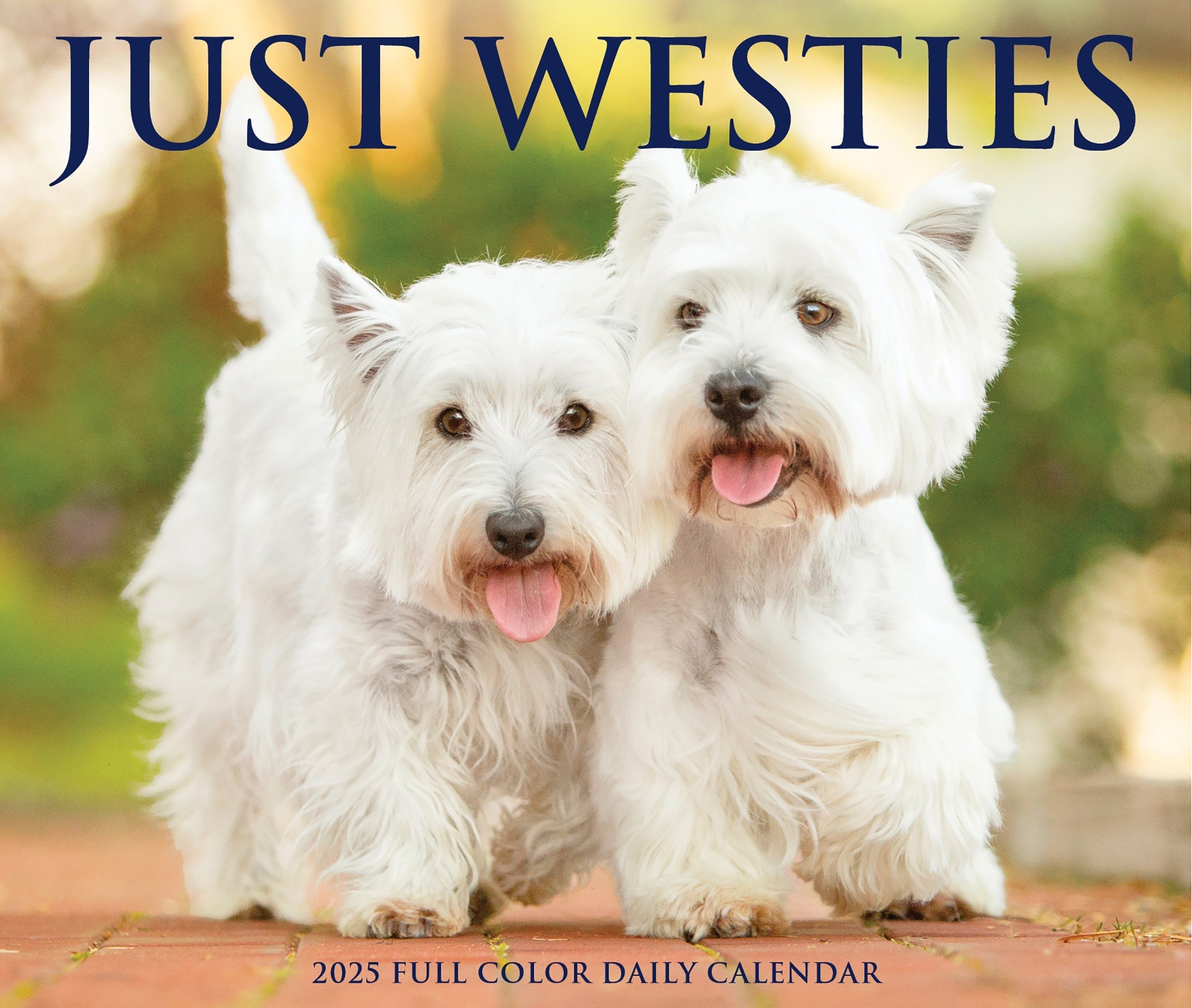 2025 Westies - Daily Boxed Page-A-Day Calendar (US Only)