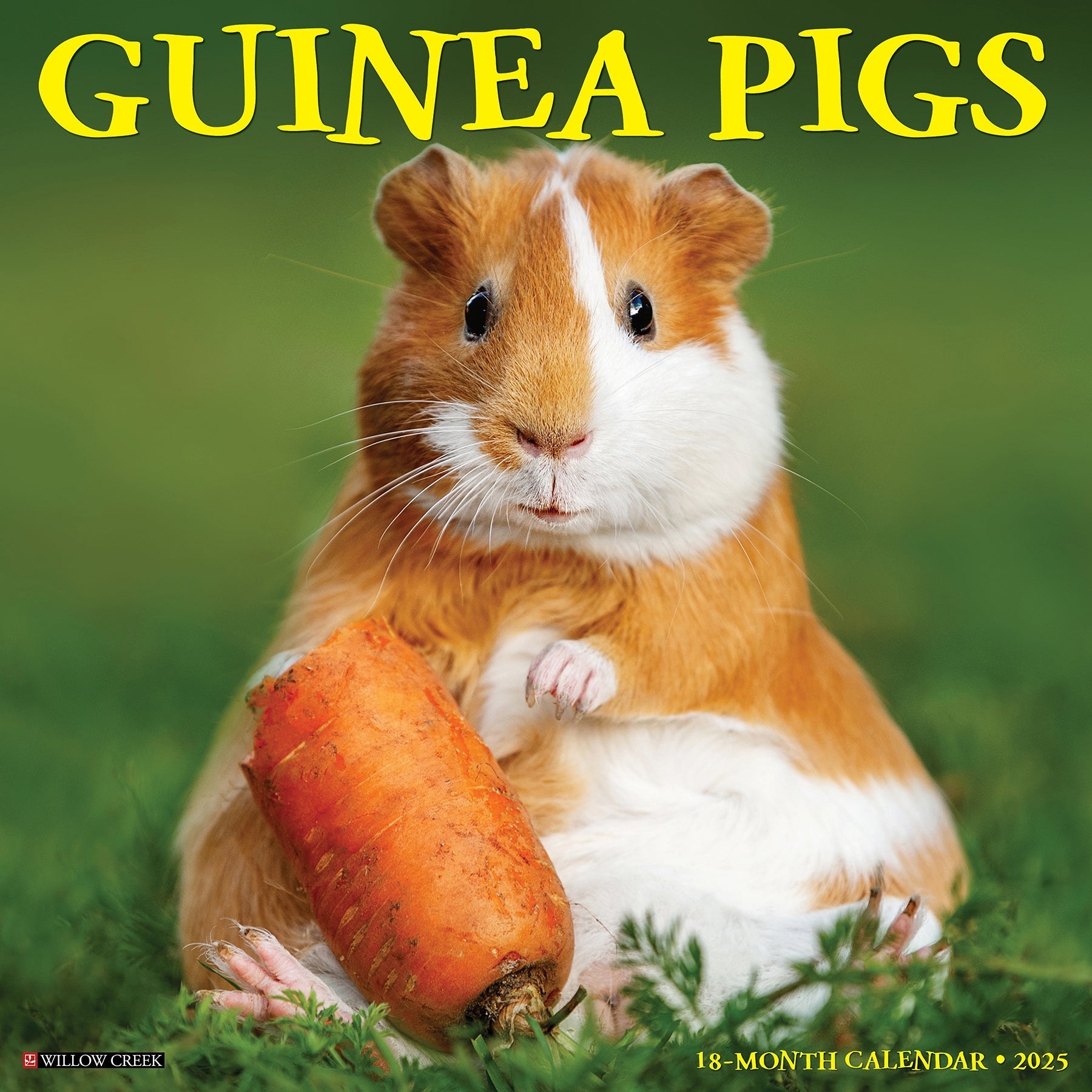 2025 Guinea Pigs - Square Wall Calendar (US Only)