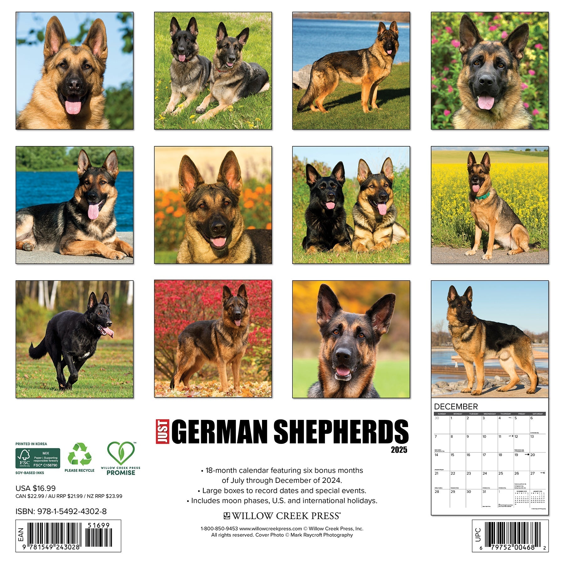 2025 German Shepherds - Square Wall Calendar (US Only)