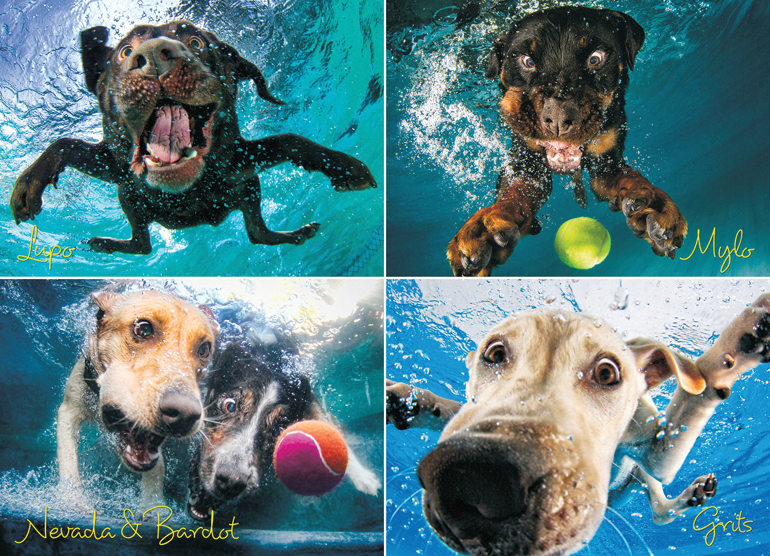 Underwater Dogs: Splash 1000 Piece - Jigsaw Puzzle