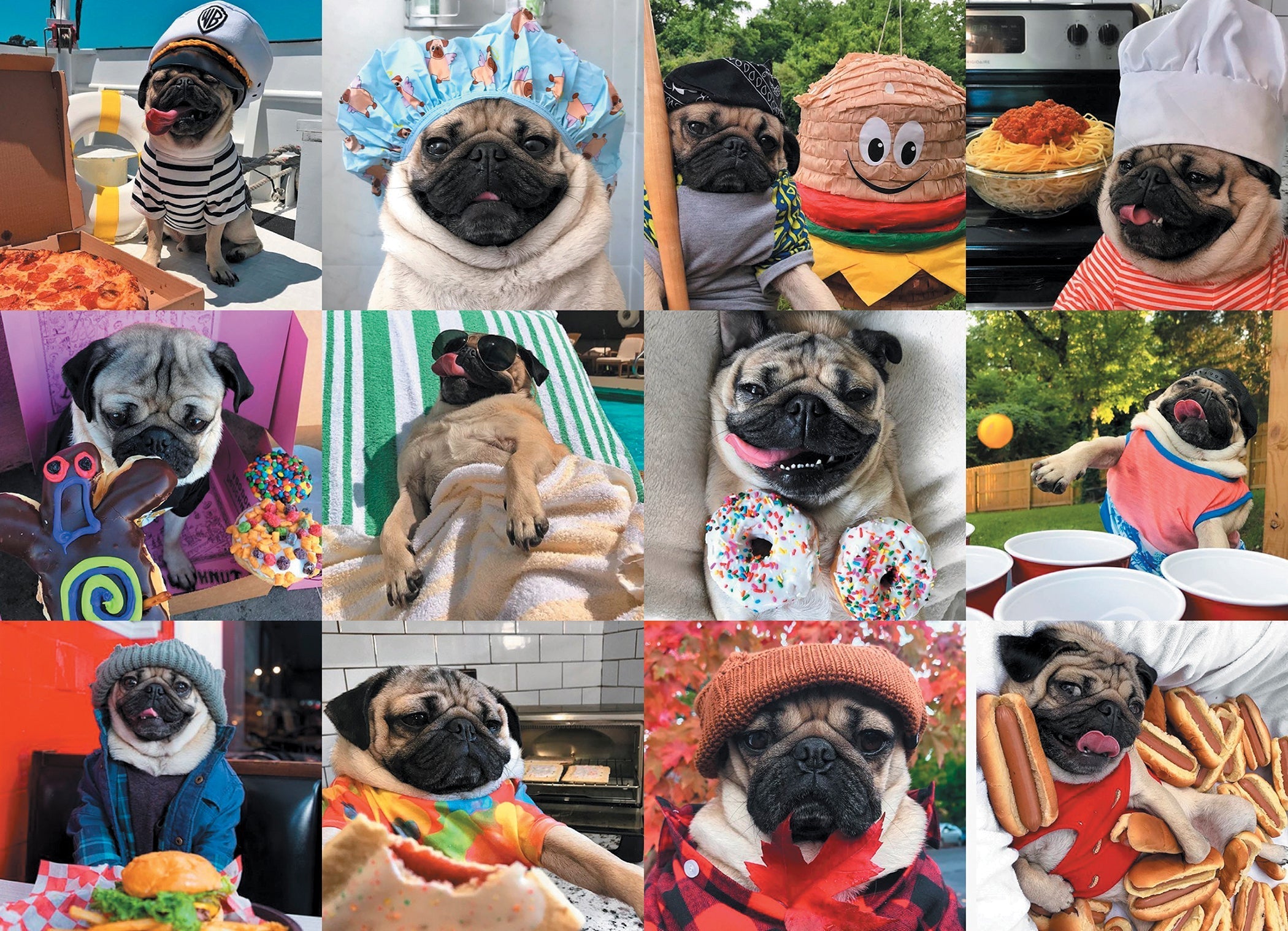 Doug the Pug Pug Life 1000 Piece - Jigsaw Puzzle