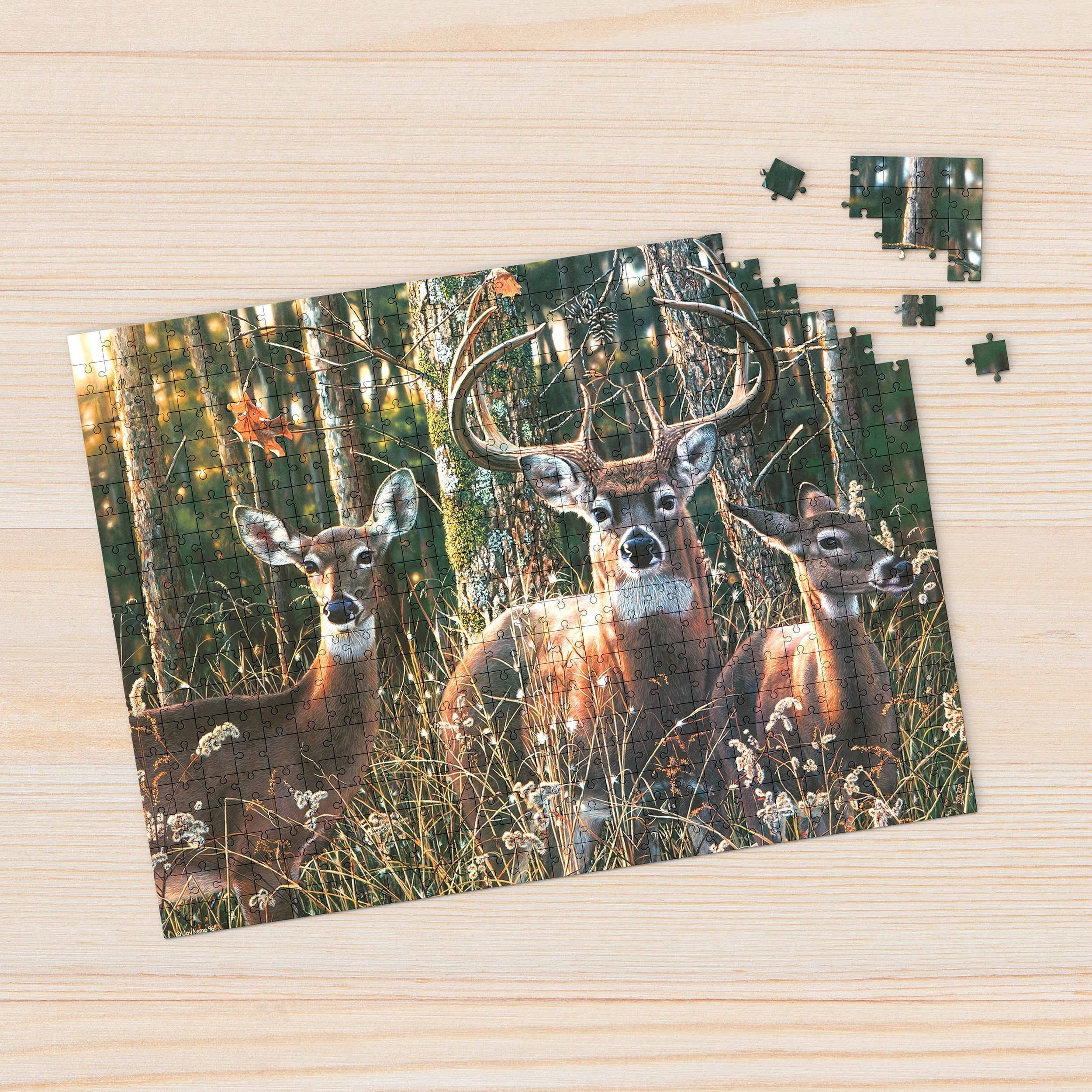 Woodlands Shadow 1000 Piece - Jigsaw Puzzle