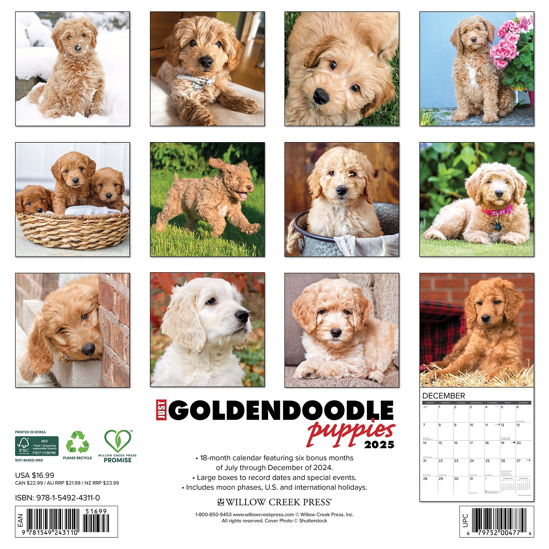 2025 Goldendoodle Puppies - Square Wall Calendar (US Only)