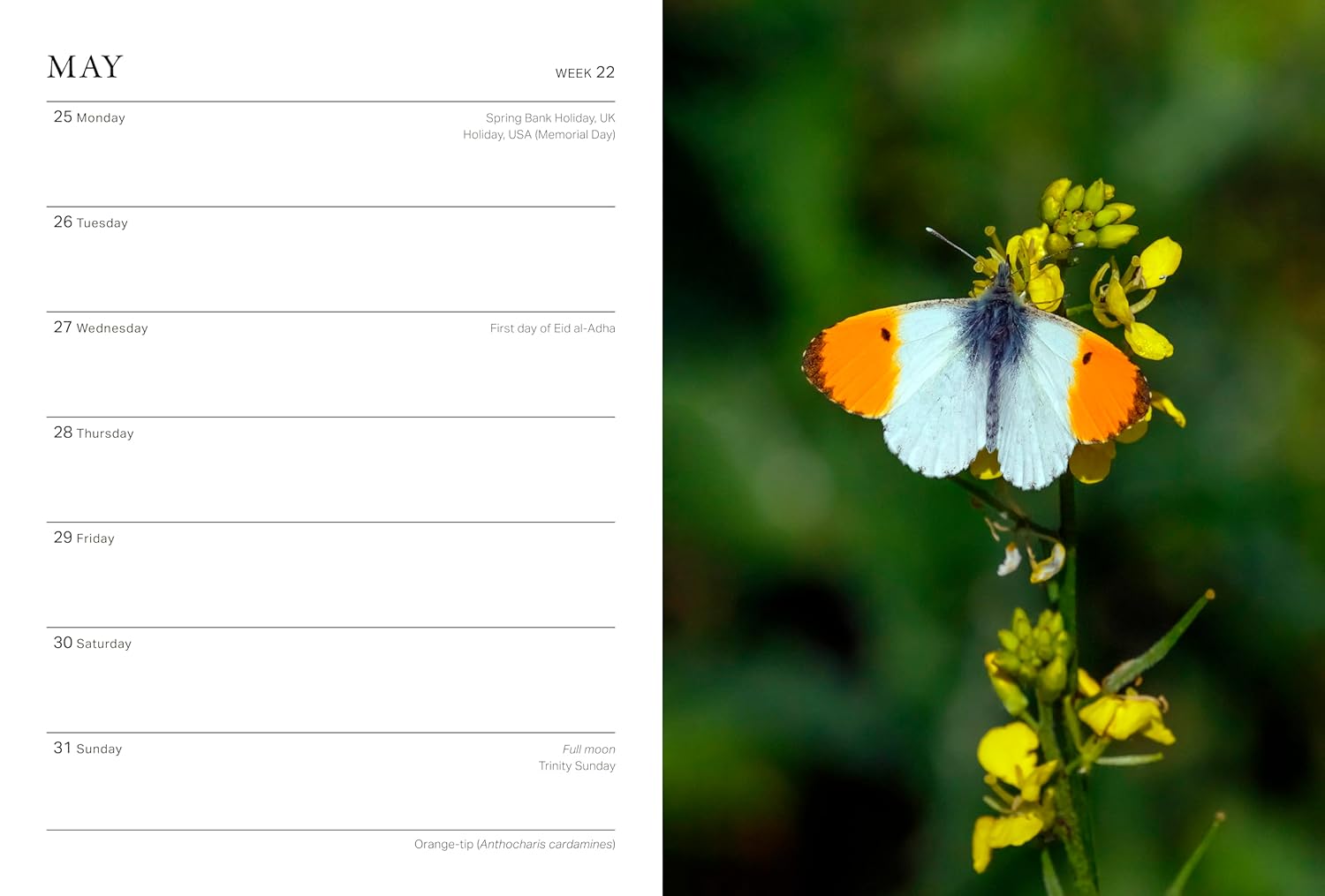 2026 RHS Wild In The Garden - Weekly Diary/Planner