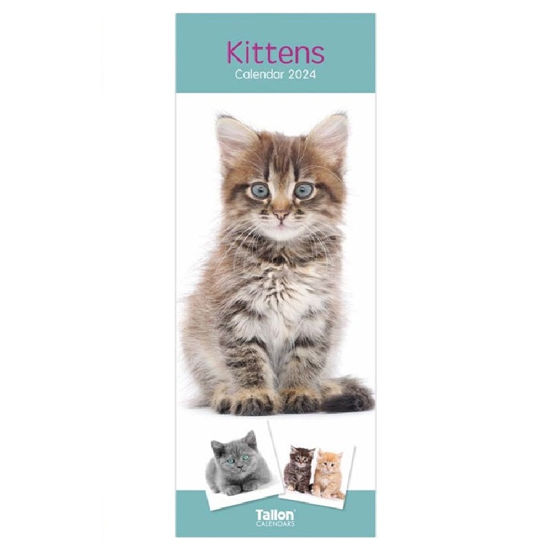 2024 Kittens Super - Slim Wall Calendar