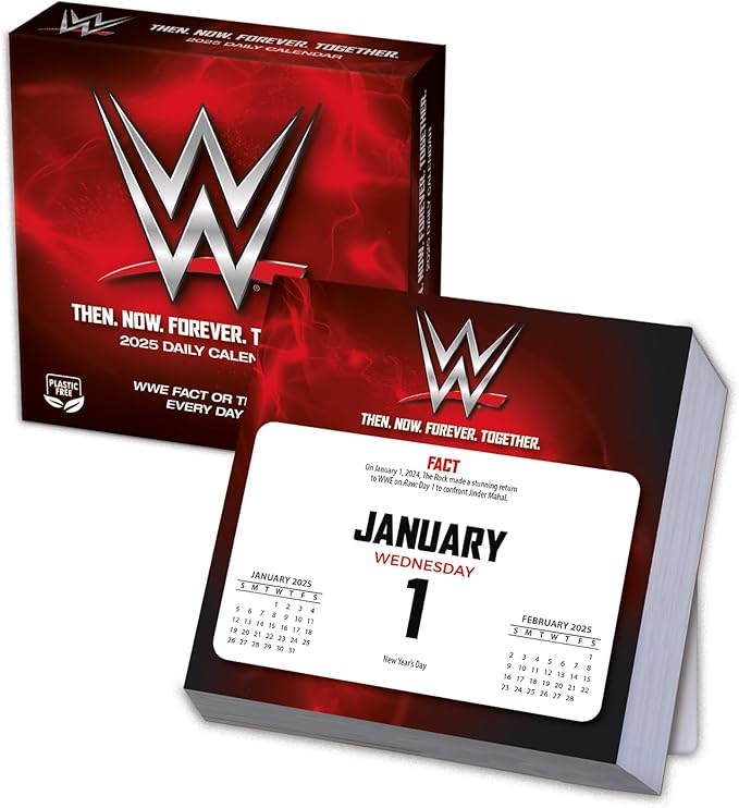 2025 WWE - Boxed Page-A-Day Calendar