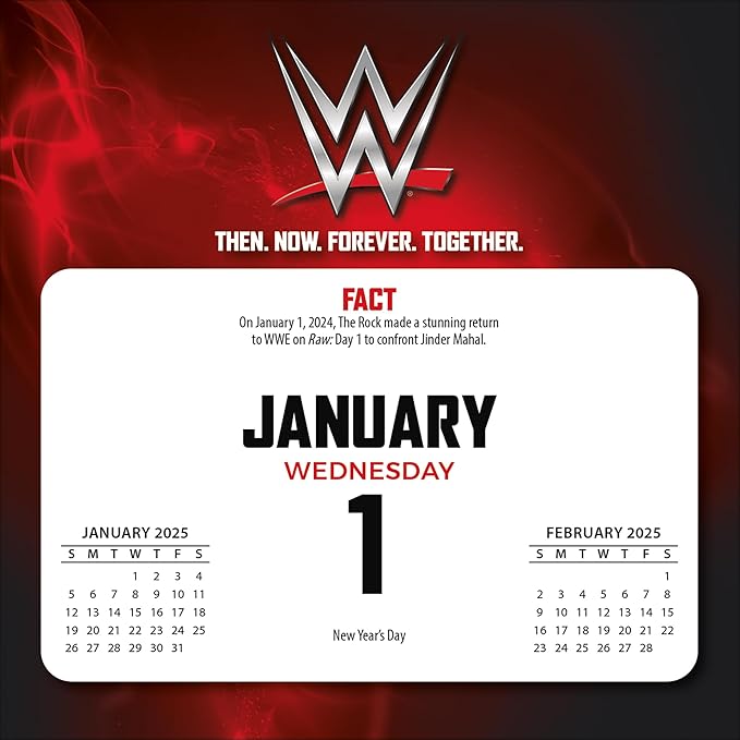 2025 WWE - Boxed Page-A-Day Calendar