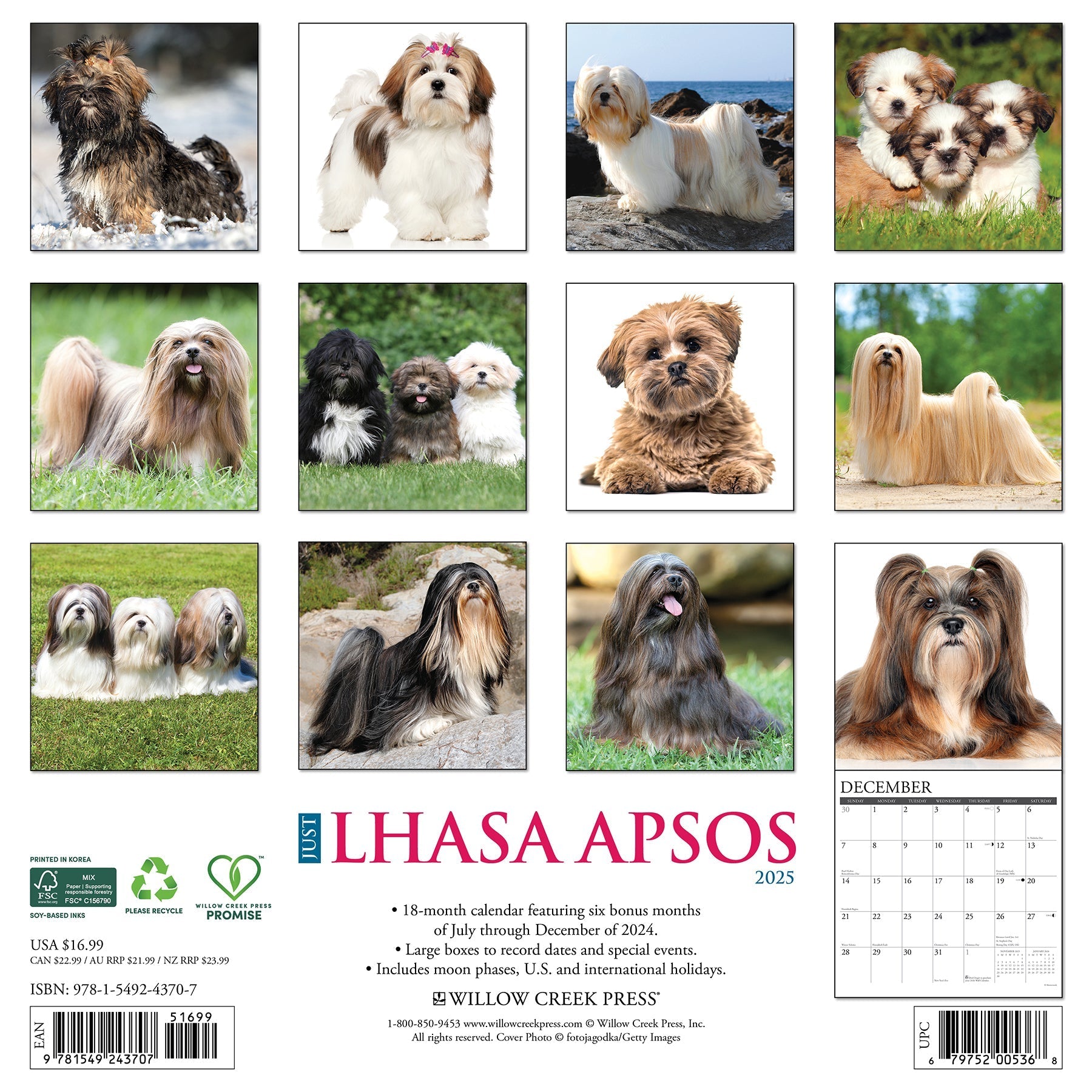 2025 Lhasa Apsos - Square Wall Calendar (US Only)