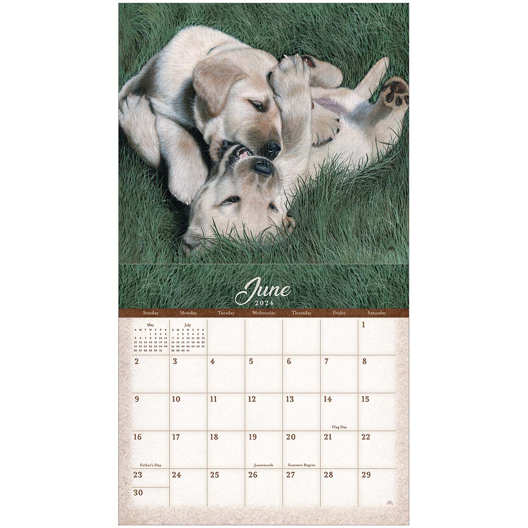2024 Legacy Labradors - Deluxe Wall Calendar
