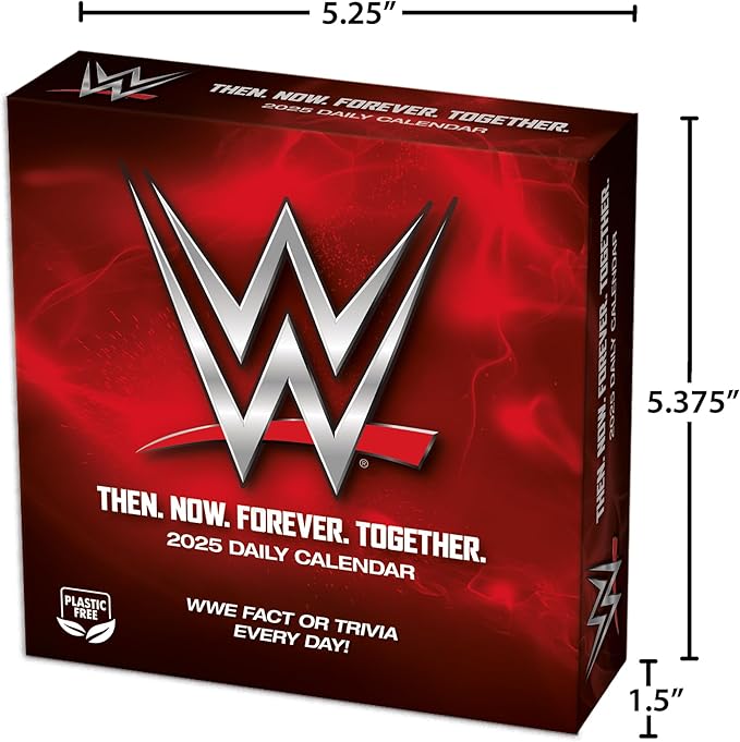 2025 WWE - Boxed Page-A-Day Calendar