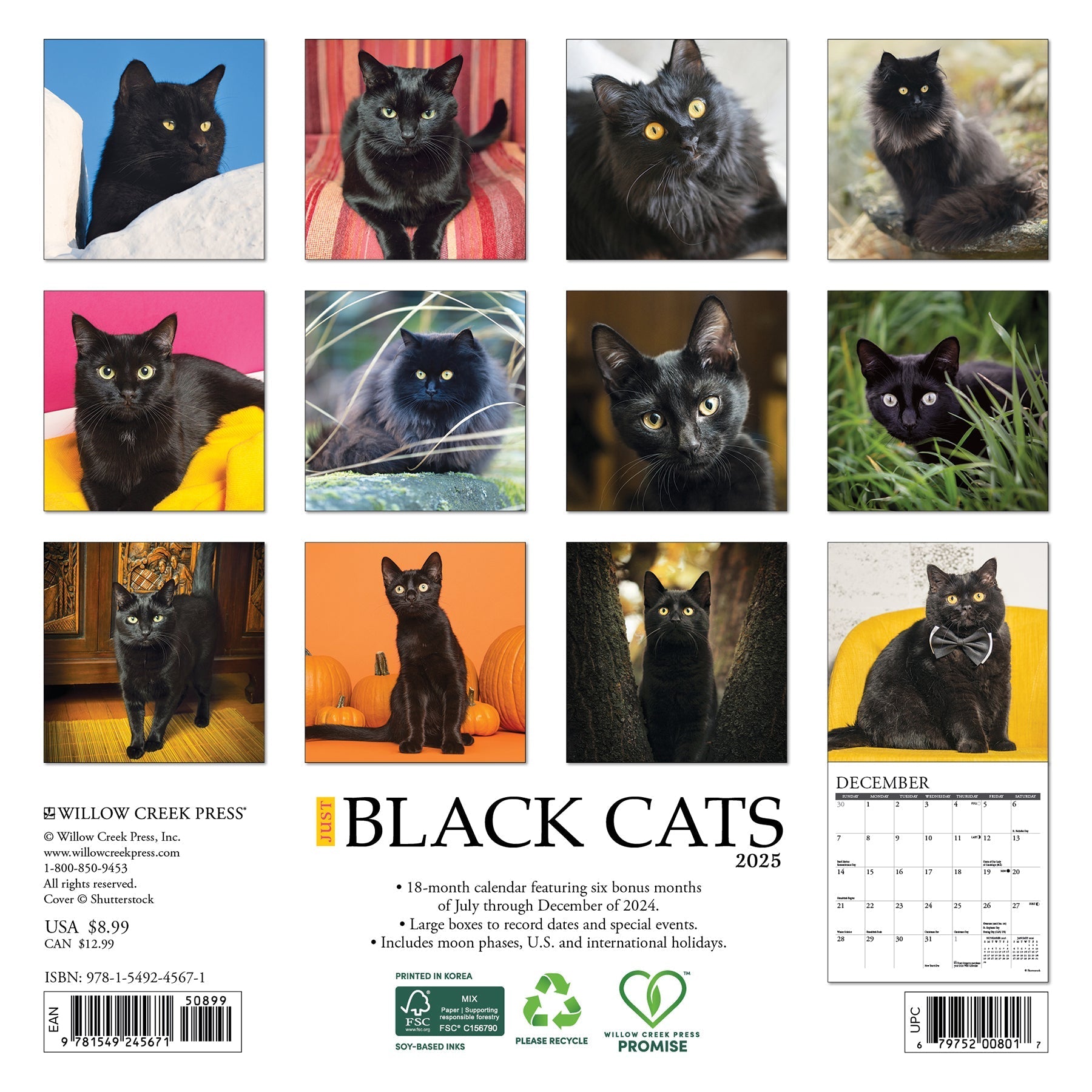 2025 Black Cats - Mini Wall Calendar (US Only)