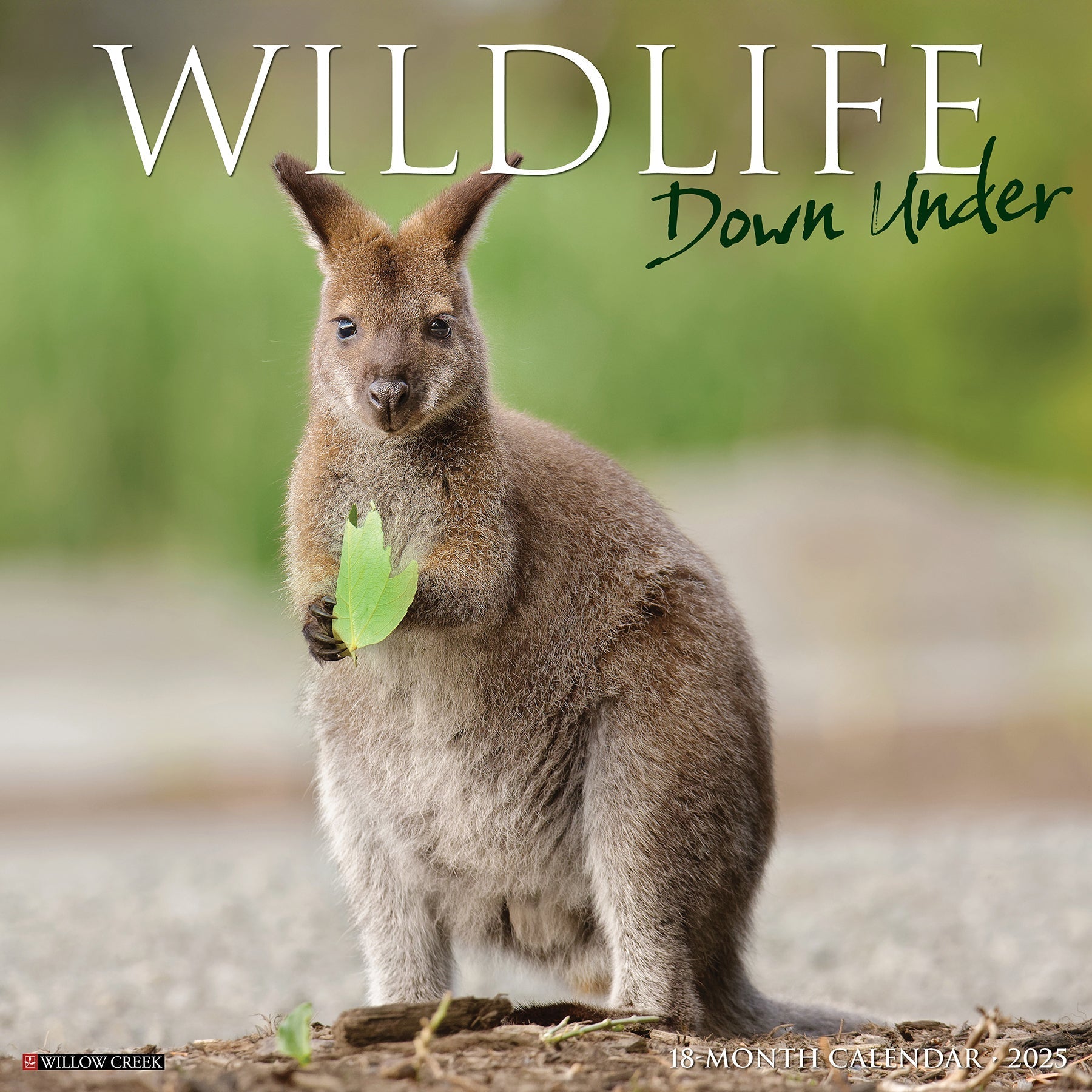 2025 Wildlife Down Under - Square Wall Calendar (US Only)