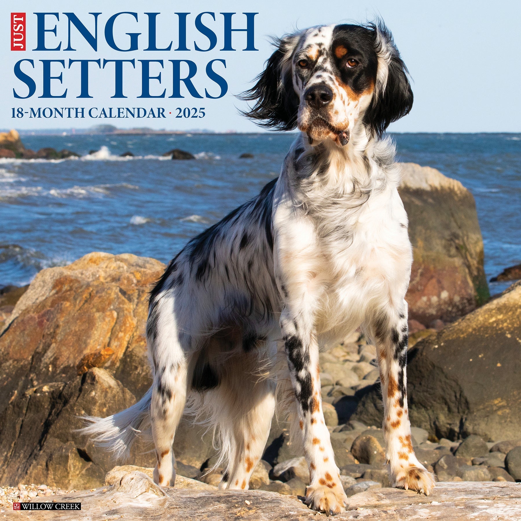 2025 English Setters - Square Wall Calendar (US Only)