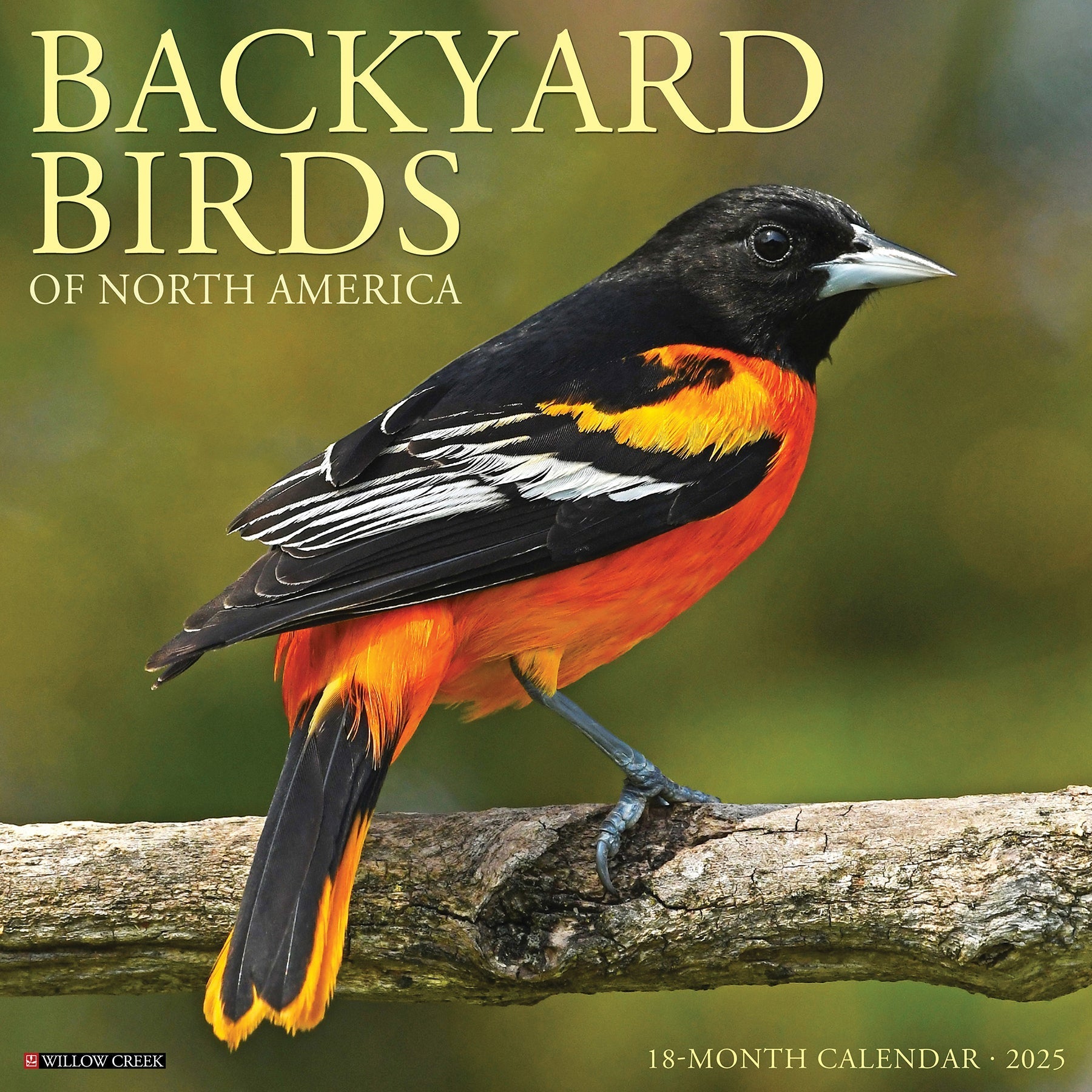 2025 Backyard Birds - Square Wall Calendar (US Only)