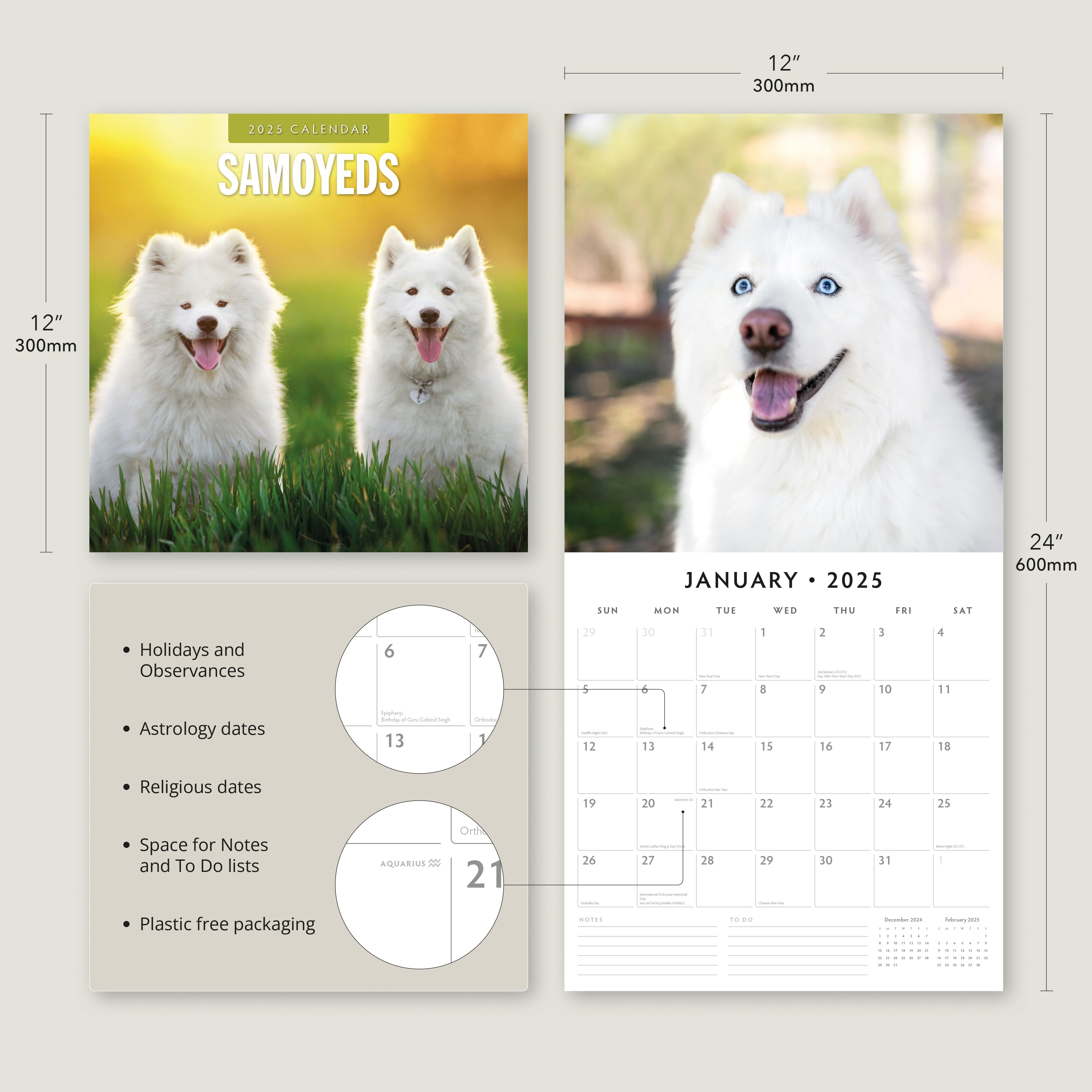 2025 Samoyeds - Square Wall Calendar