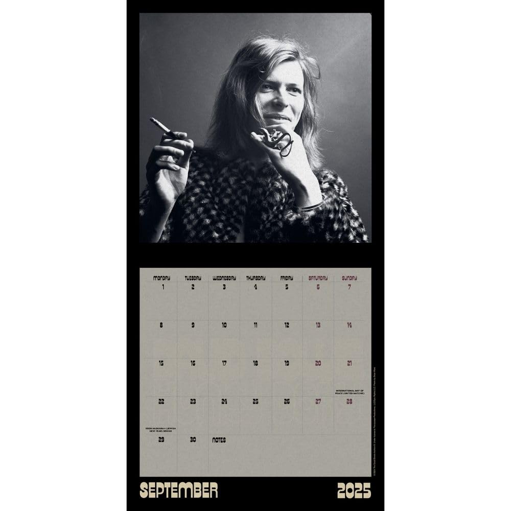 2025 David Bowie Collector's Edition Record Sleeve - Square Wall Calendar