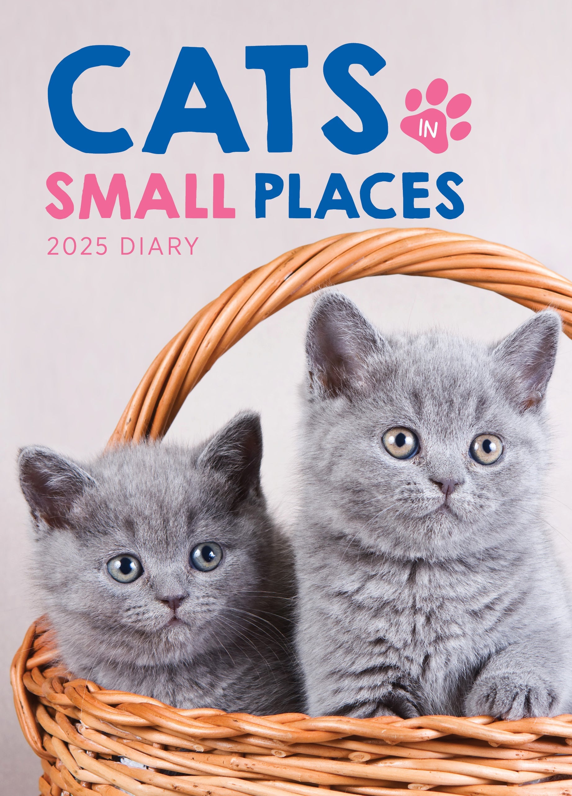 2025 Cats In Small Places - Bi-Weekly Diary/Planner