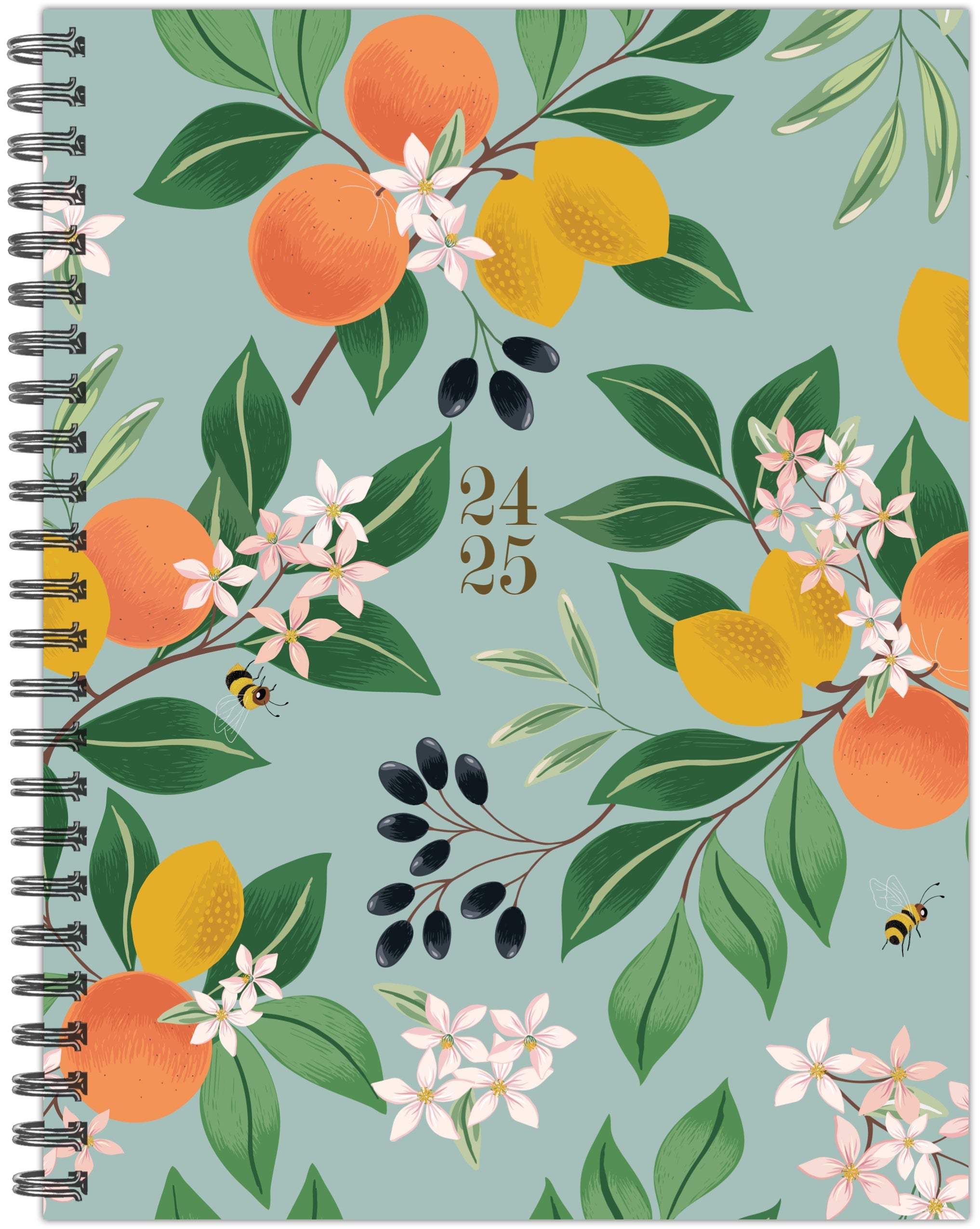 July 2024 - June 2025 Botanical Fruit - Medium Weekly & Monthly Academic Year Diary/Planner