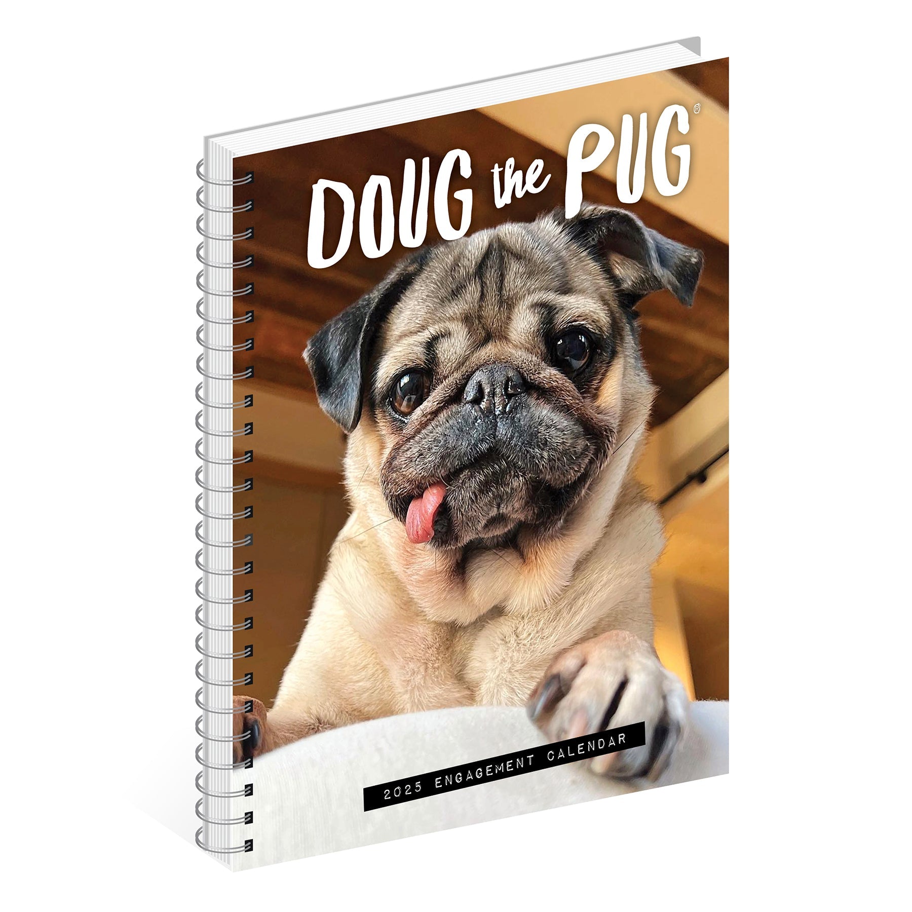 2025 Doug the Pug - Weekly Diary/Planner (US Only)