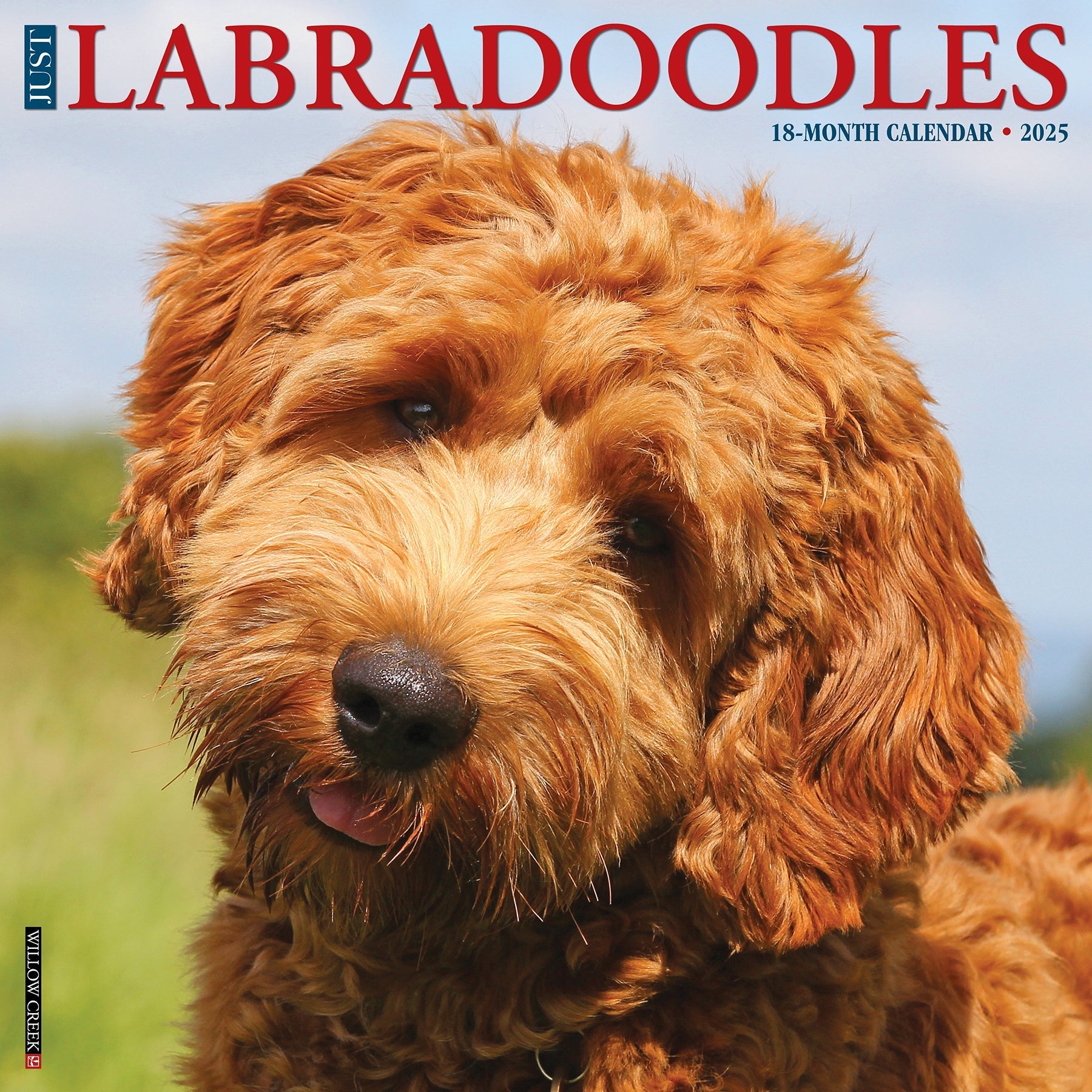 2025 Labradoodles - Square Wall Calendar (US Only)