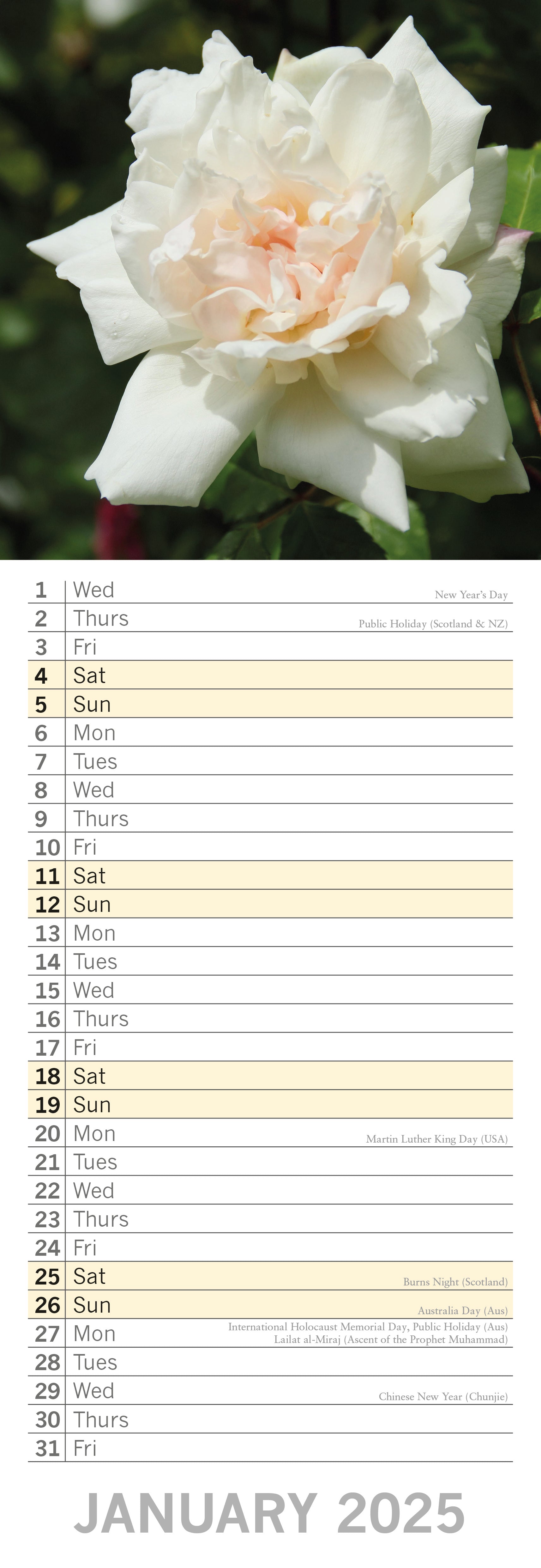 2025 Roses - Slim Wall Calendar