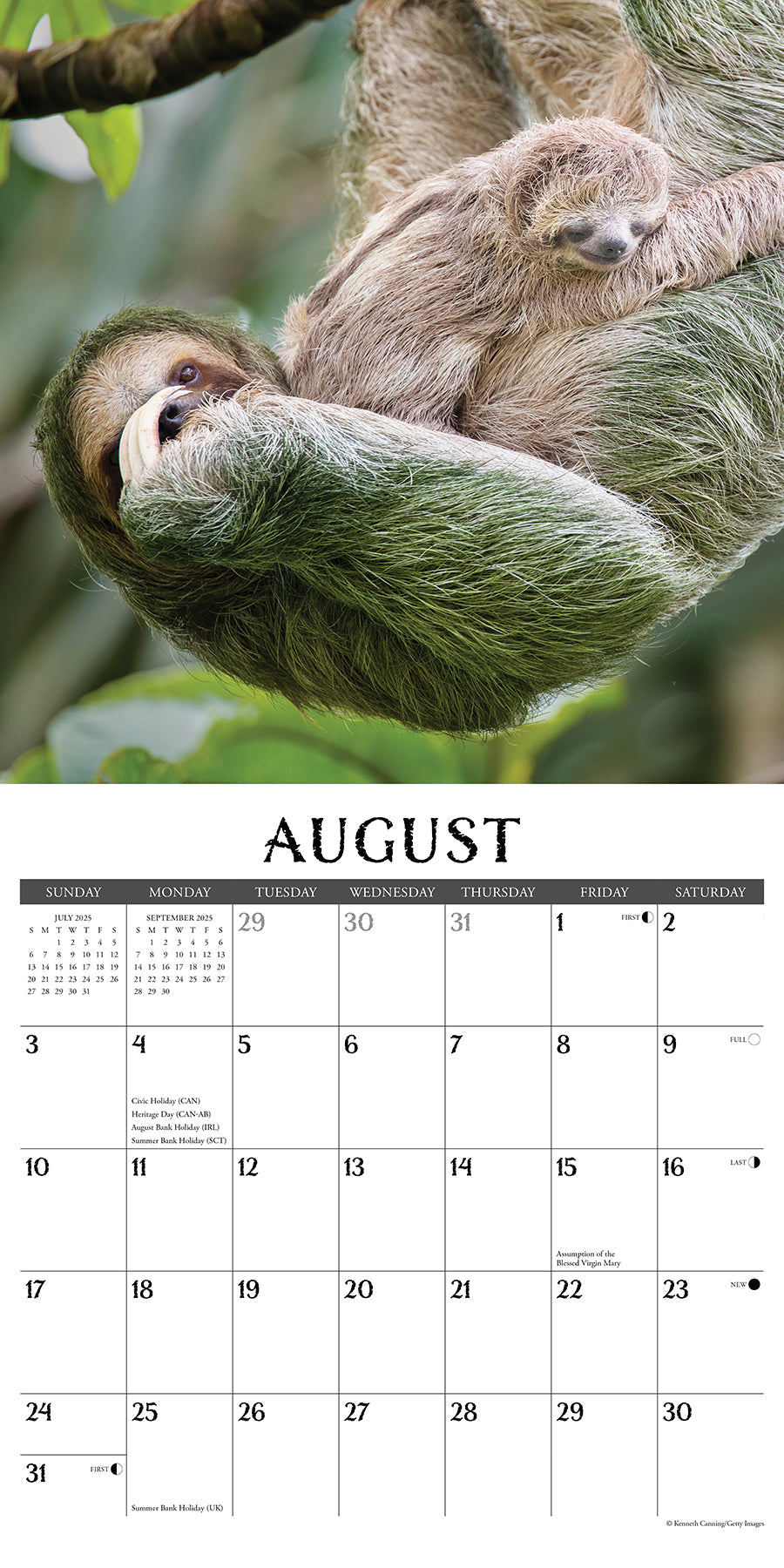2025 Sloths - Square Wall Calendar (US Only)