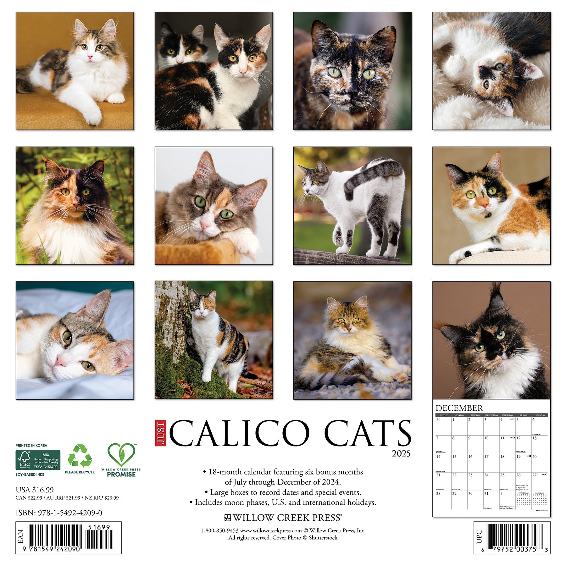 2025 Calico Cats - Square Wall Calendar (US Only)