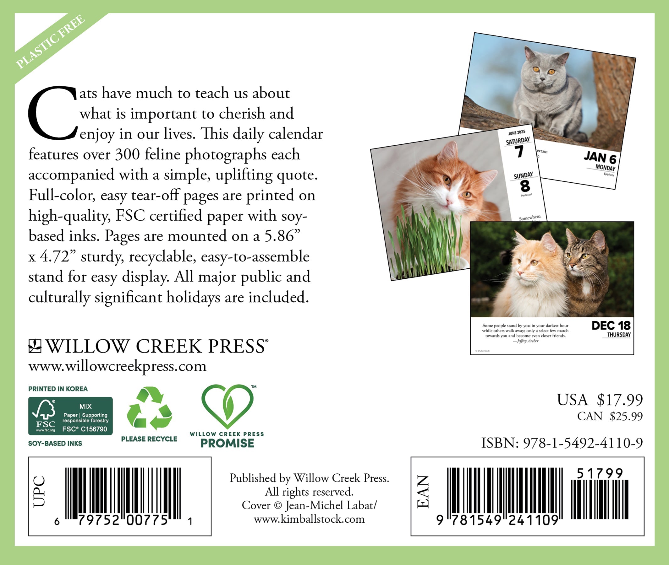 2025 What Cats Teach Us - Daily Boxed Page-A-Day Calendar (US Only)