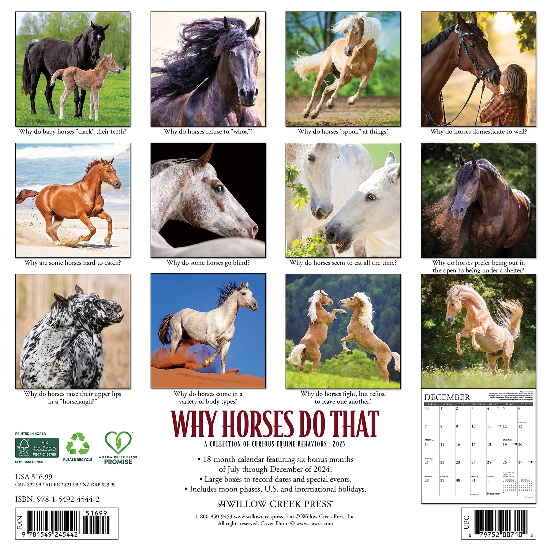 2025 Why Horses Do That - Square Wall Calendar (US Only)