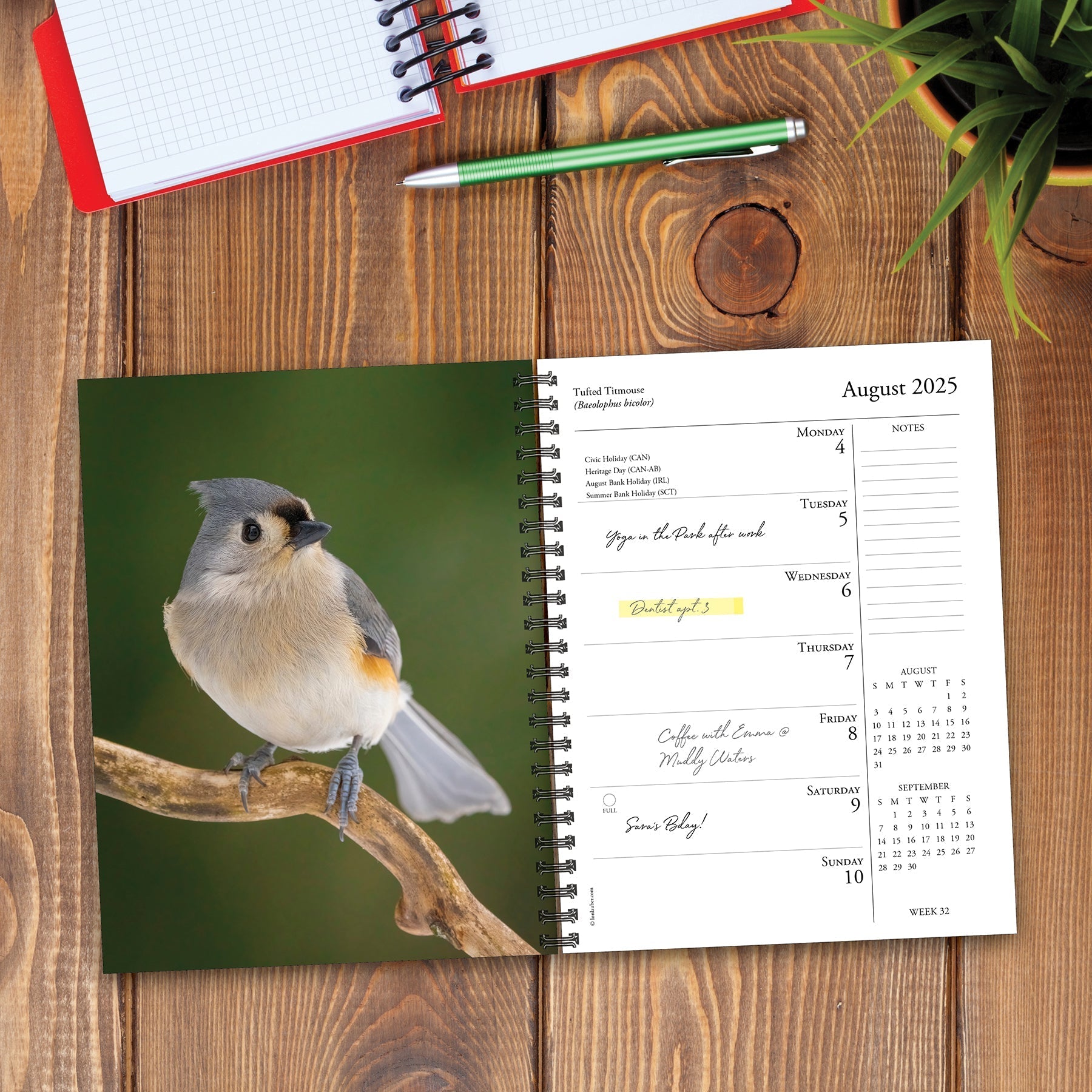 2025 Backyard Birds - Weekly Diary/Planner (US Only)