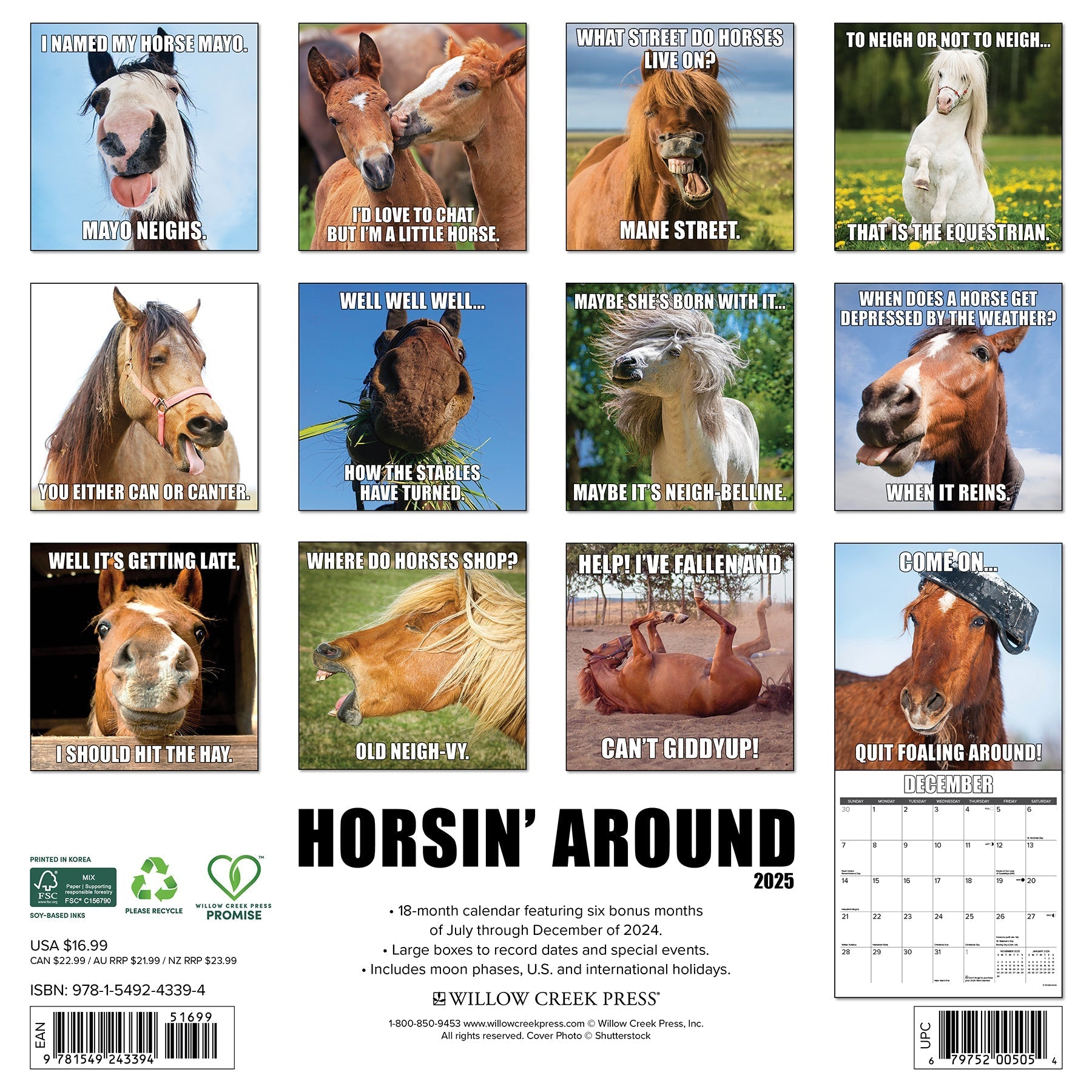 2025 Horsin  Around - Square Wall Calendar (US Only)