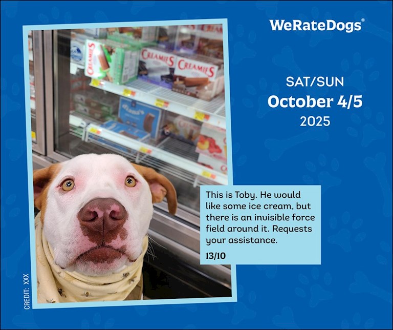 2025 WeRateDogs - Daily Boxed Page-A-Day Calendar