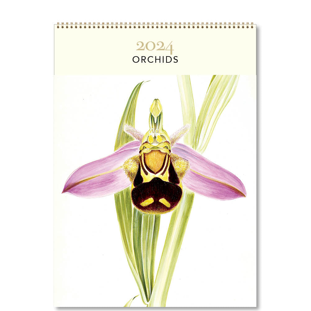 2024 Orchids - Deluxe Wall Calendar