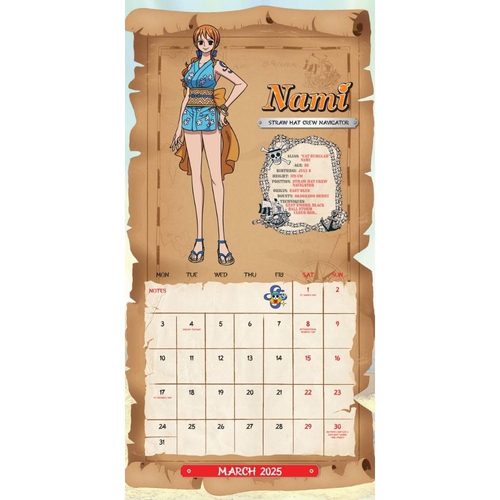 2025 One Piece - Square Wall Calendar