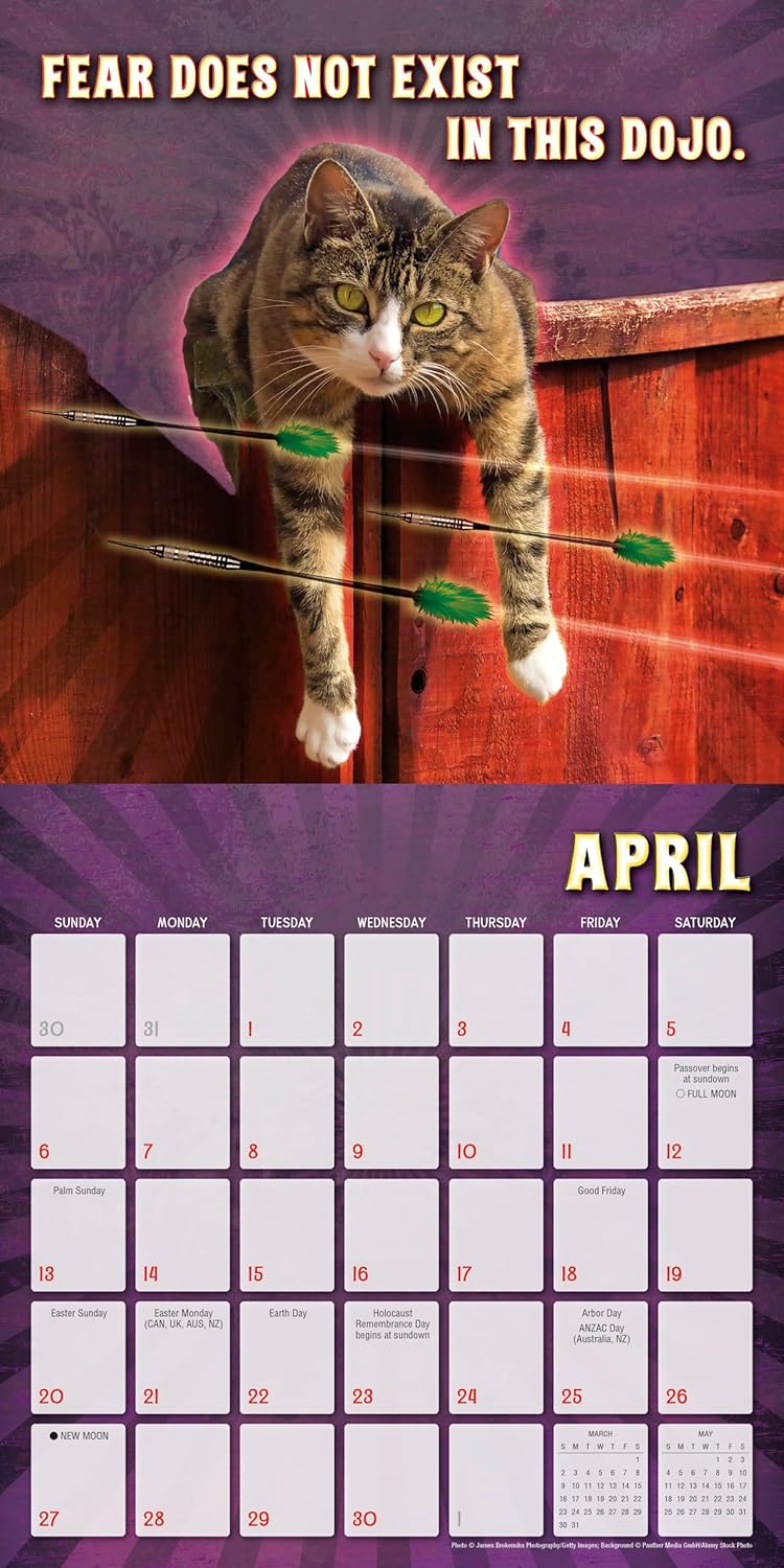 2025 The Karate Kat - Square Wall Calendar