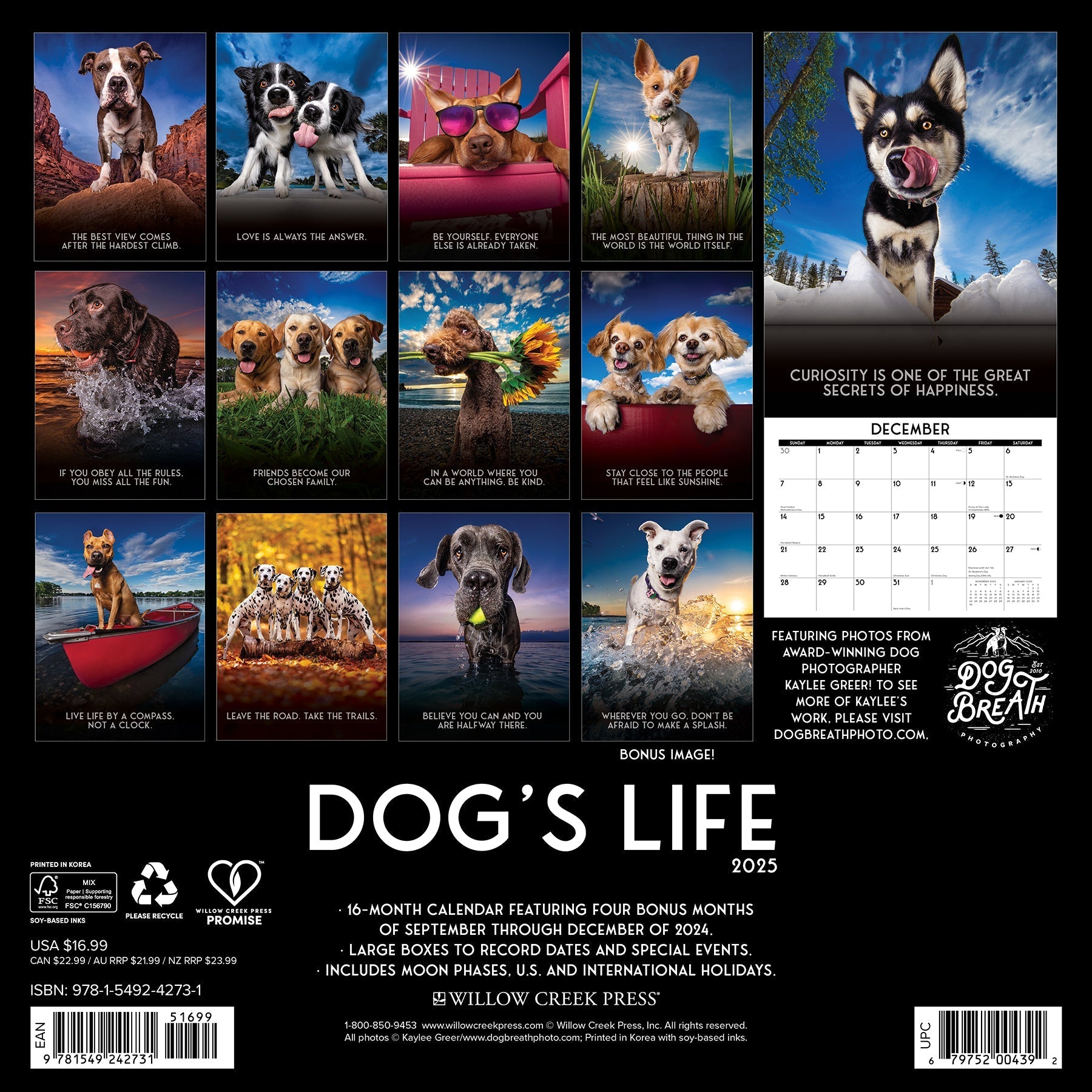 2025 Dog's Life - Square Wall Calendar (US Only)