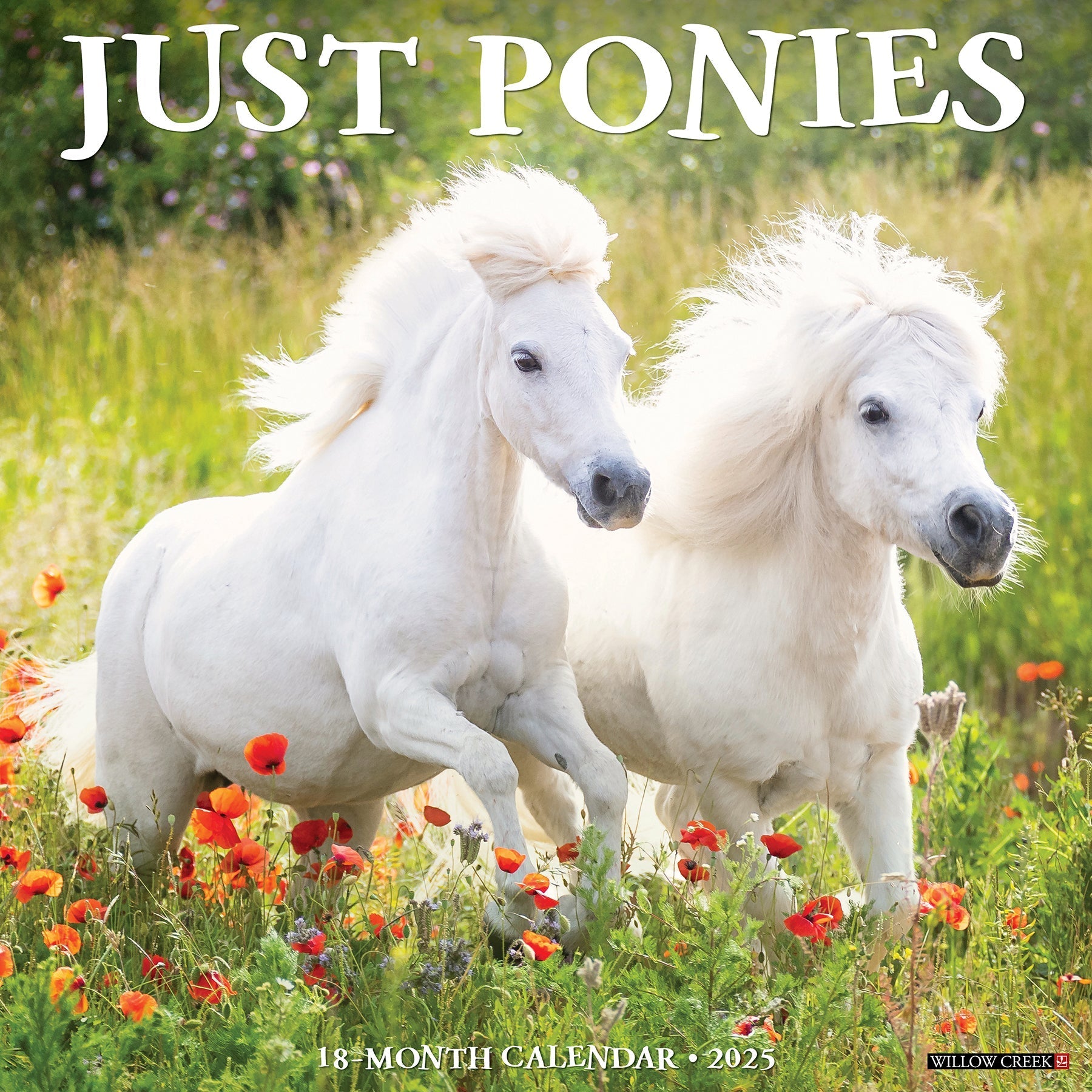 2025 Ponies - Square Wall Calendar (US Only)