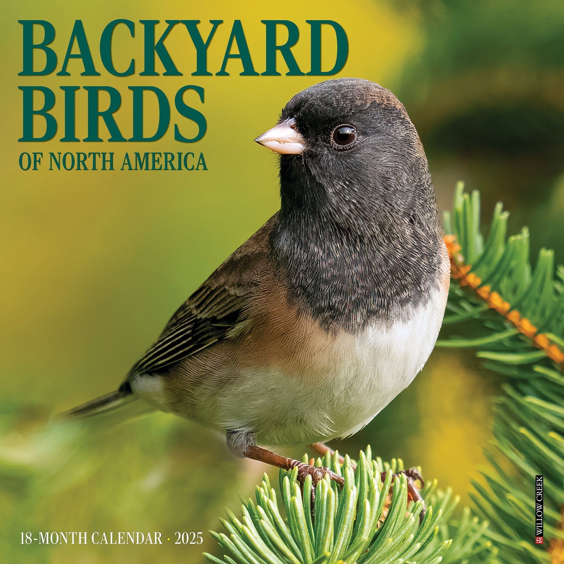 2025 Backyard Birds - Mini Wall Calendar (US Only)