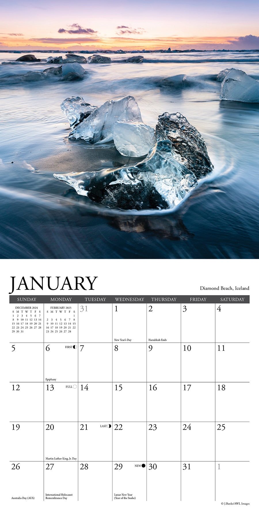 2025 Ocean View - Mini Wall Calendar (US Only)