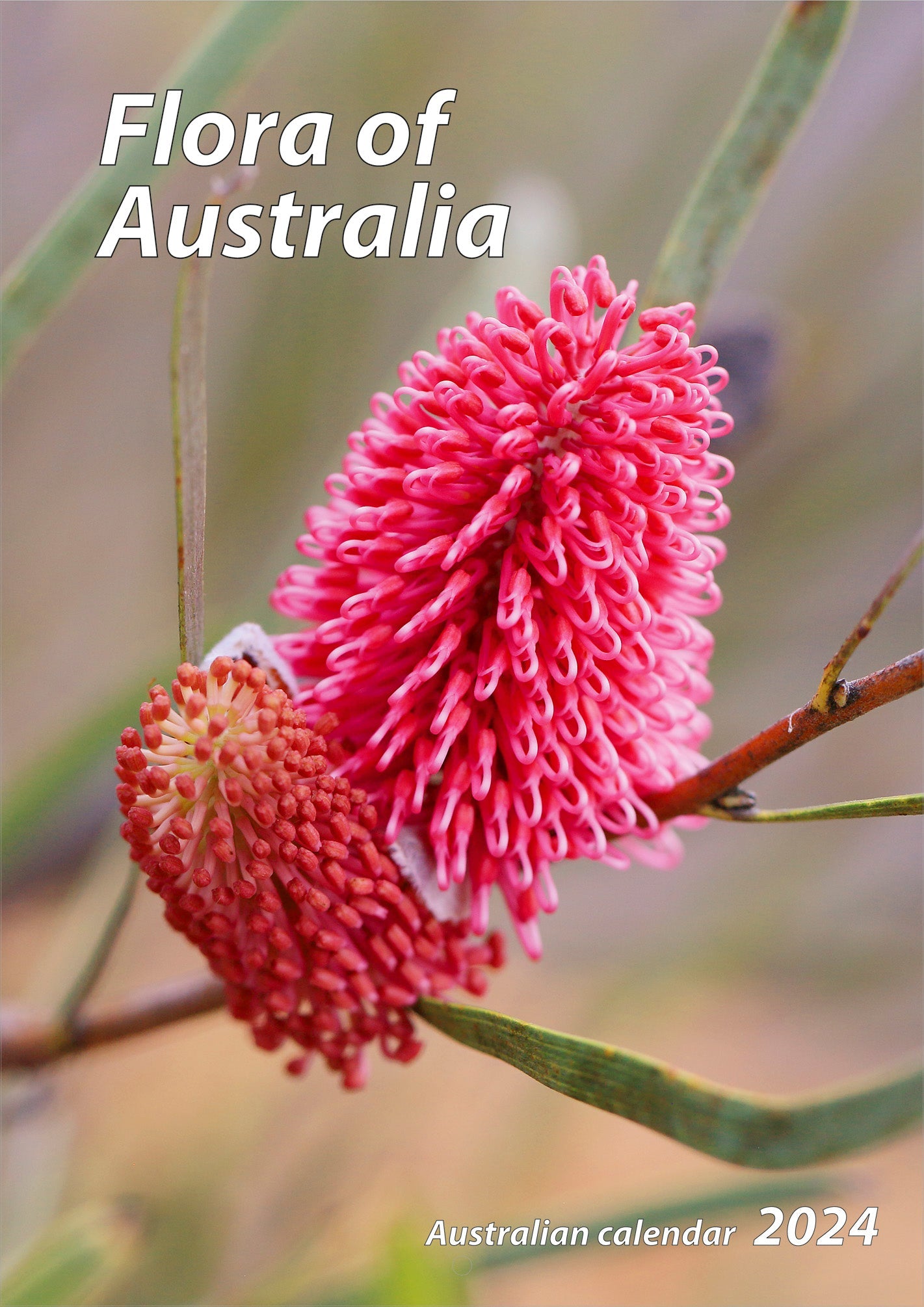 2024 Flora Of Australia - Slim Wall Calendar